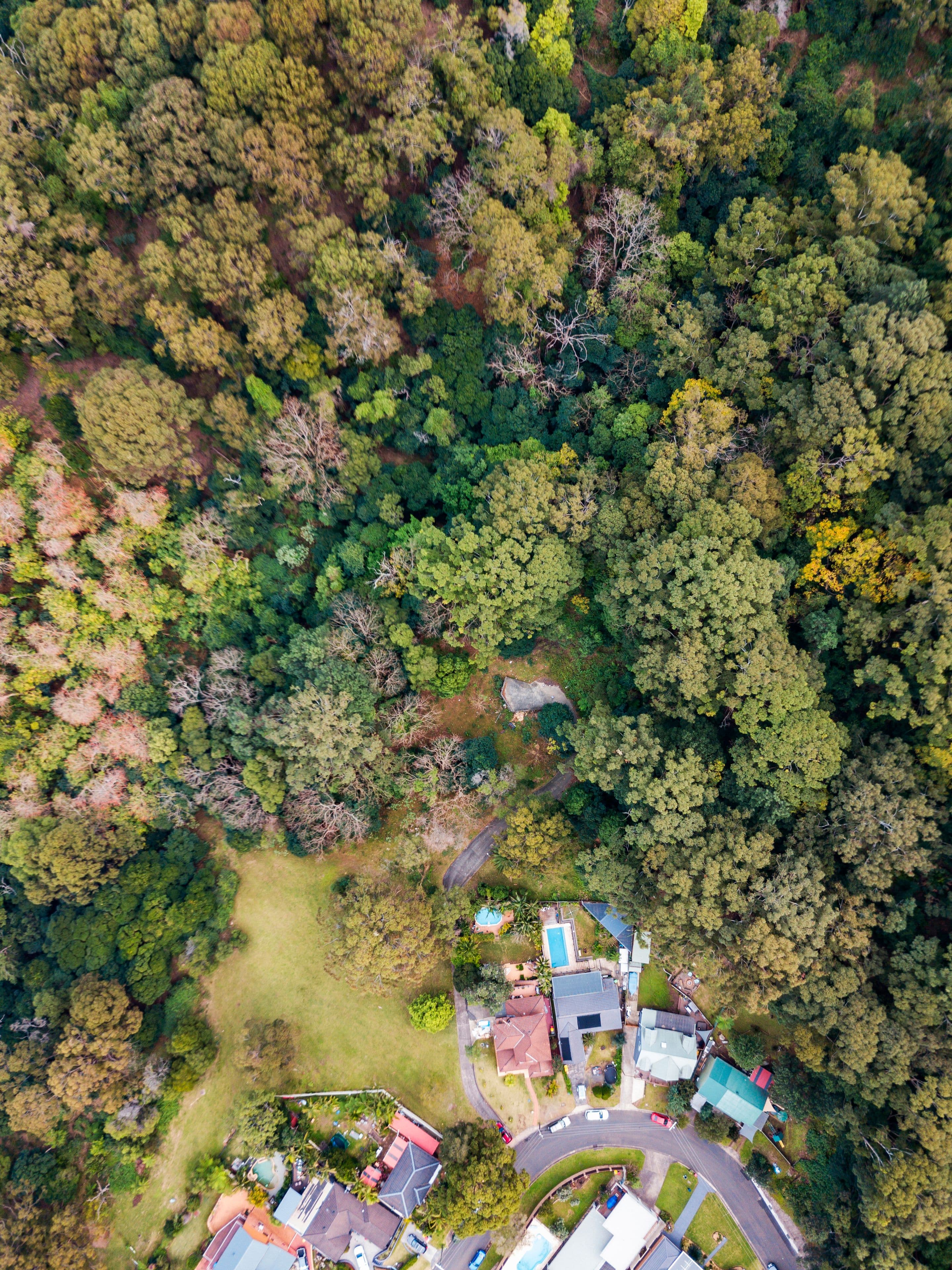 41 Joanne Street, Woonona NSW 2517, Woonona - Thumbnail 3