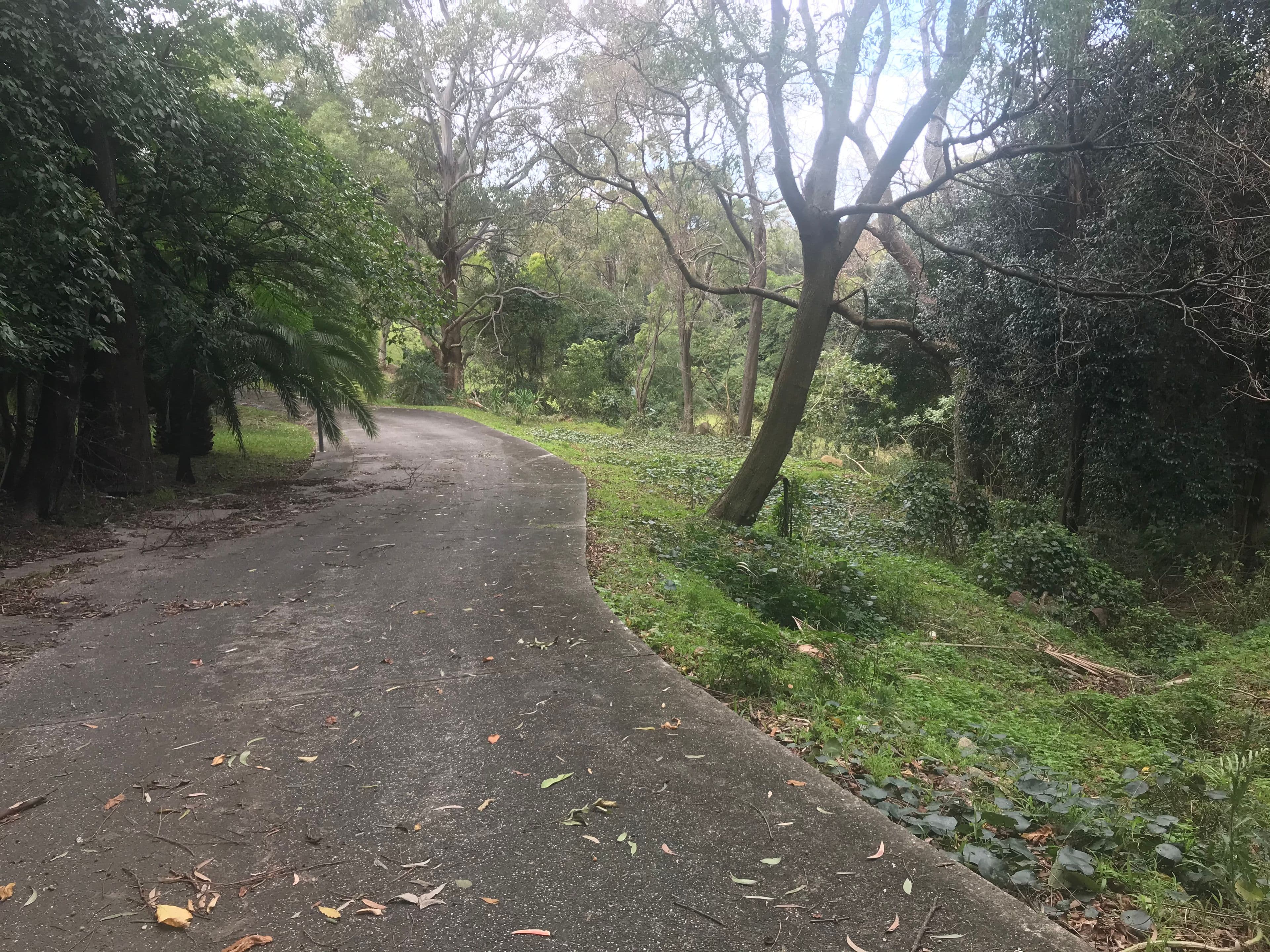 41 Joanne Street, Woonona NSW 2517, Woonona - Thumbnail 4