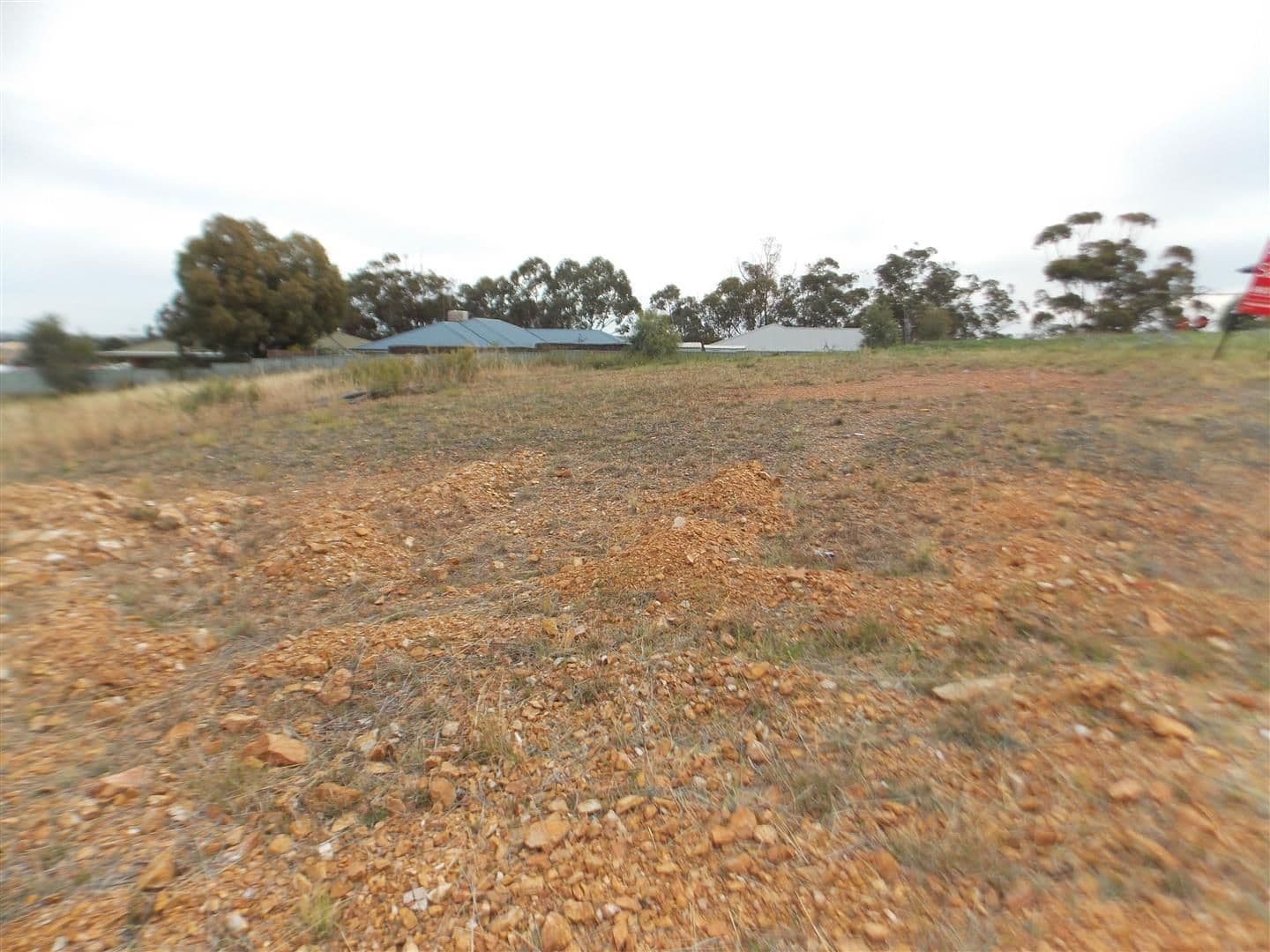 24 Vaucluse Place, Parkes NSW 2870, Parkes - Thumbnail 3