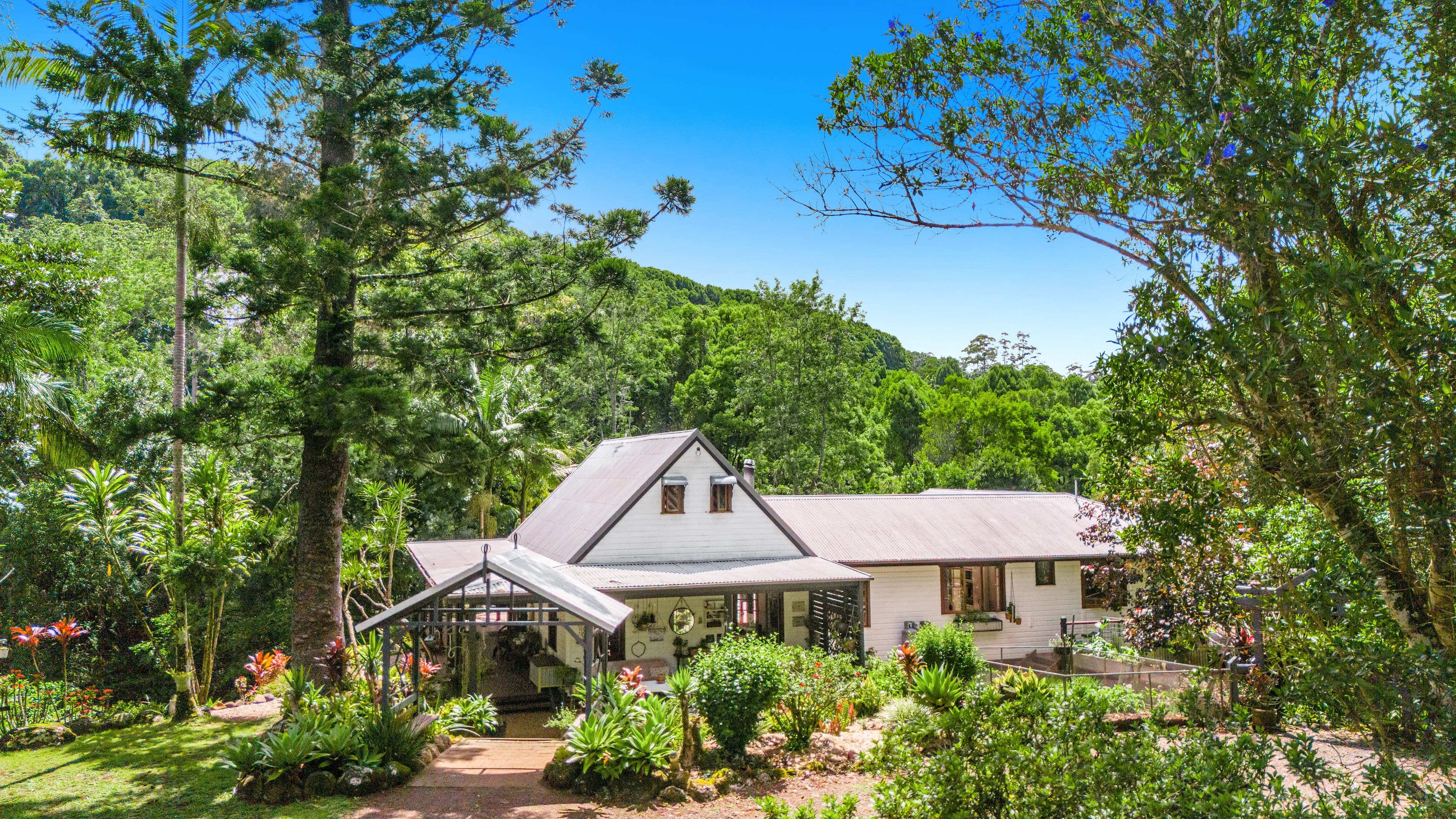 208 Eureka Road, Rosebank NSW 2480, Rosebank - Thumbnail 4