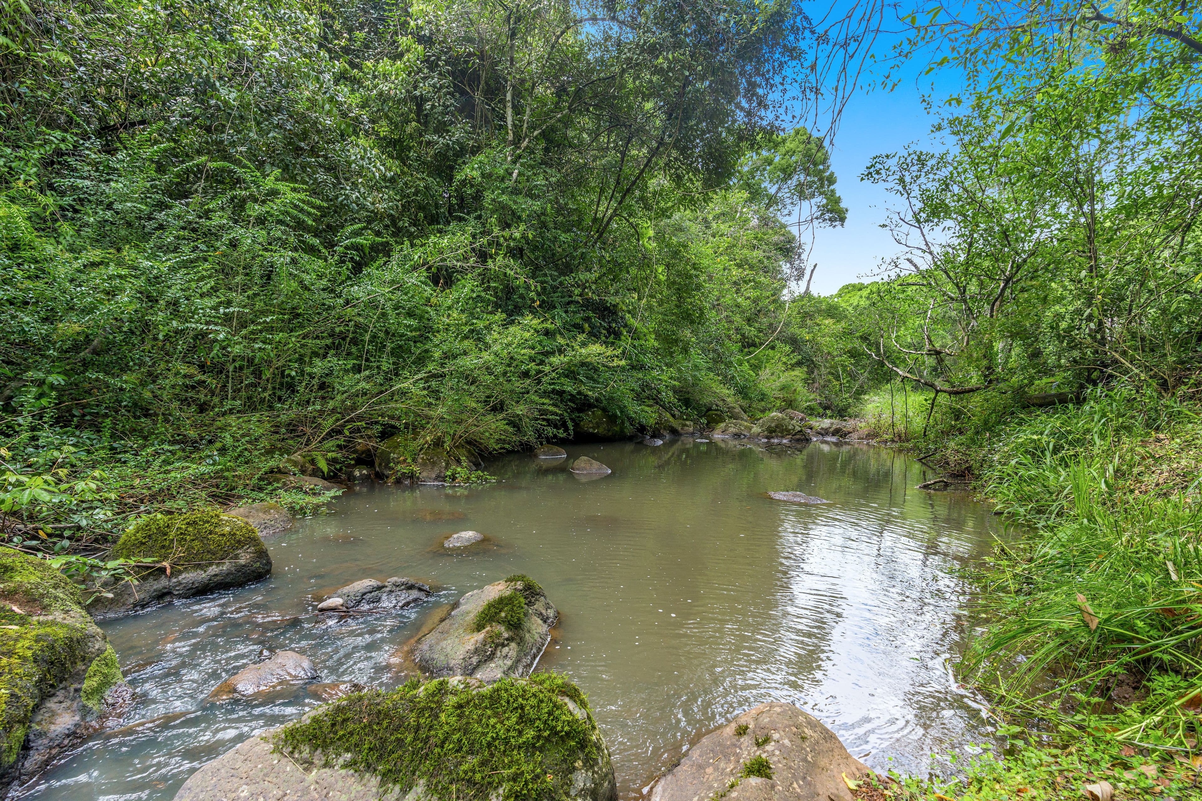 208 Eureka Road, Rosebank NSW 2480, Rosebank - Thumbnail 6