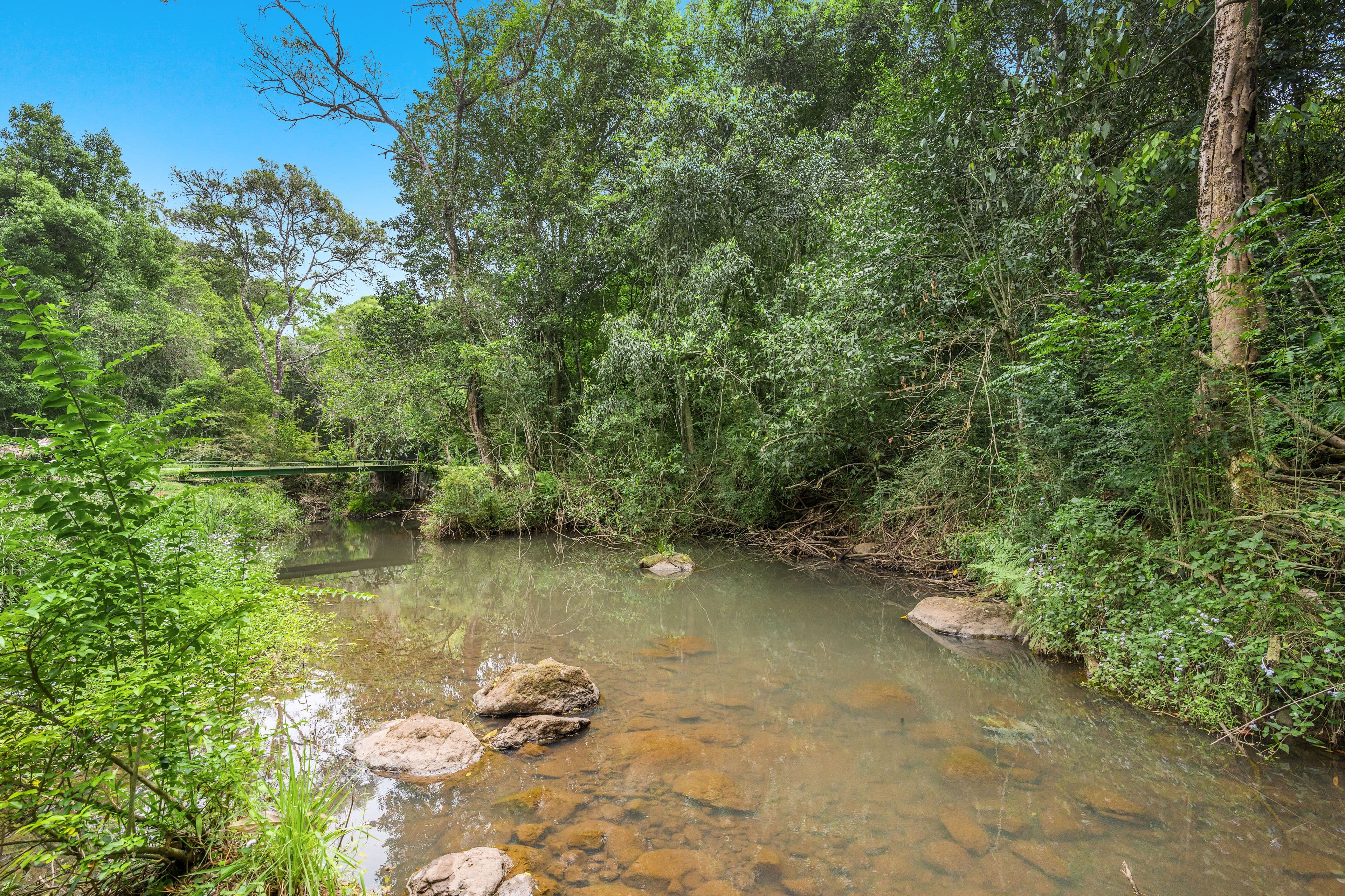 208 Eureka Road, Rosebank NSW 2480, Rosebank - Thumbnail 7