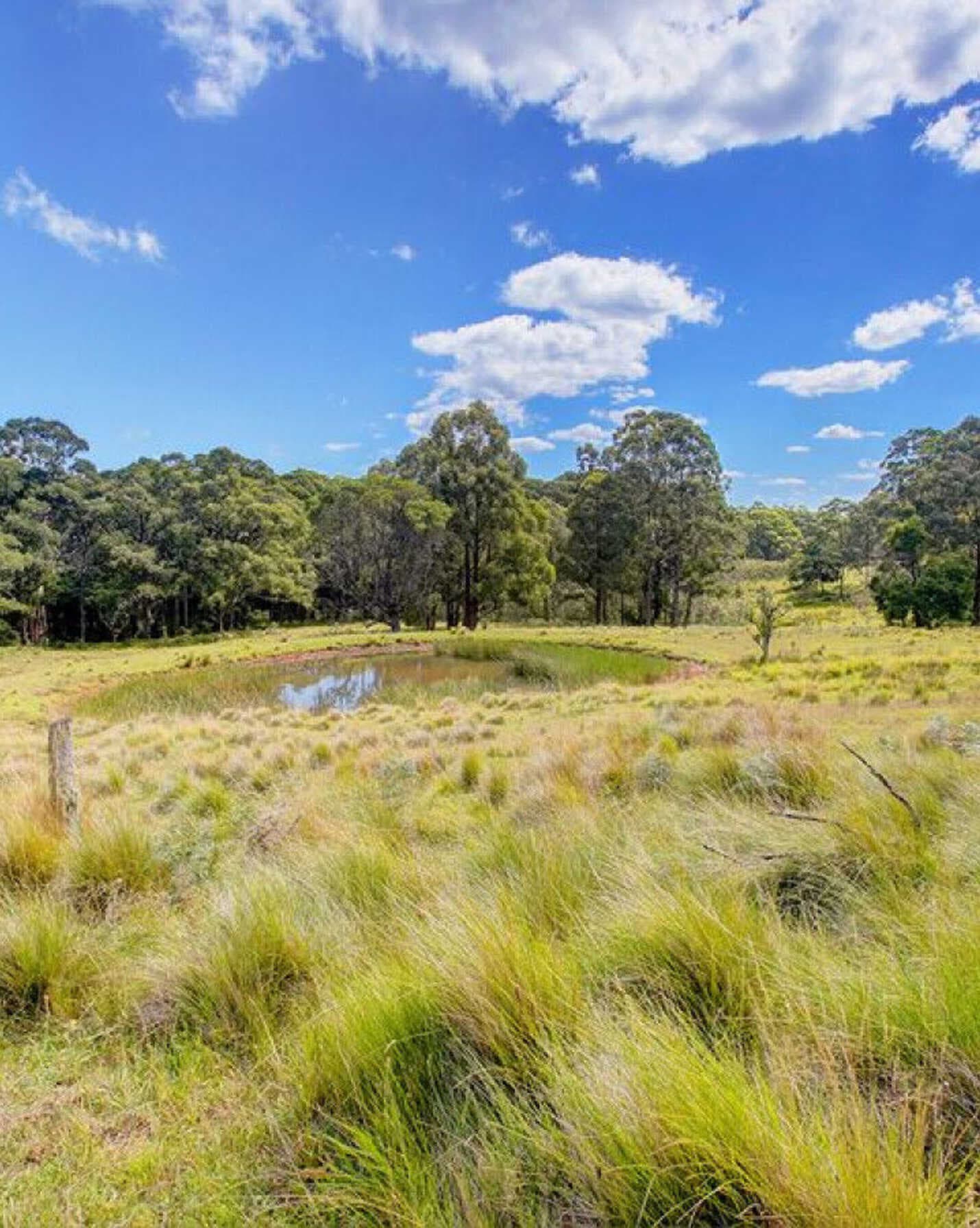 209 Spring Hills Road Meryla, Meryla - Thumbnail 4
