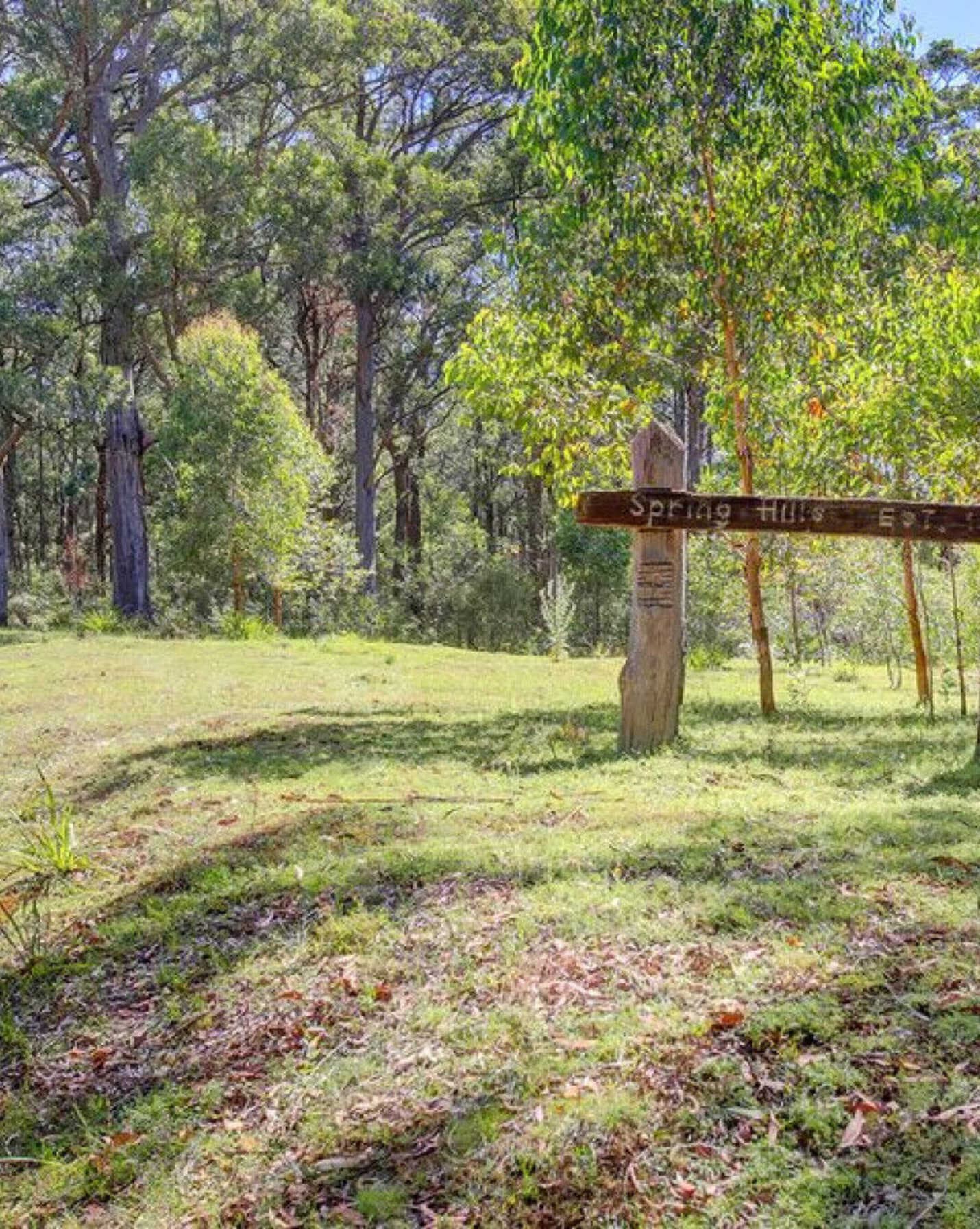 209 Spring Hills Road Meryla, Meryla - Thumbnail 6
