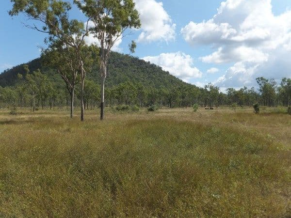 Lot 558 Granitevale Road, Alice River QLD 4817, Alice River - Thumbnail 3