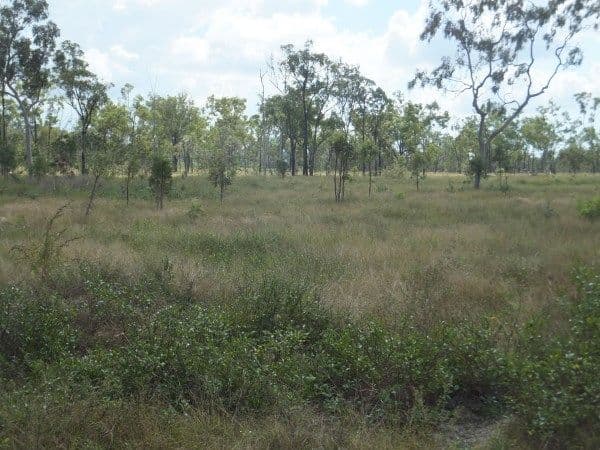 Lot 558 Granitevale Road, Alice River QLD 4817, Alice River - Thumbnail 4