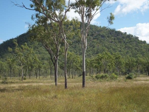 Lot 558 Granitevale Road, Alice River QLD 4817, Alice River - Thumbnail 5