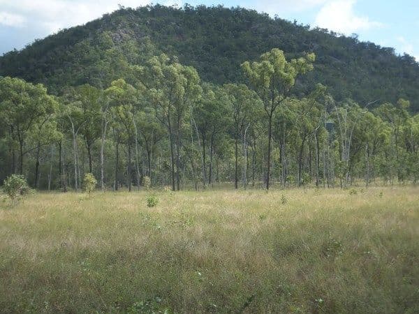 Lot 558 Granitevale Road, Alice River QLD 4817, Alice River - Thumbnail 6