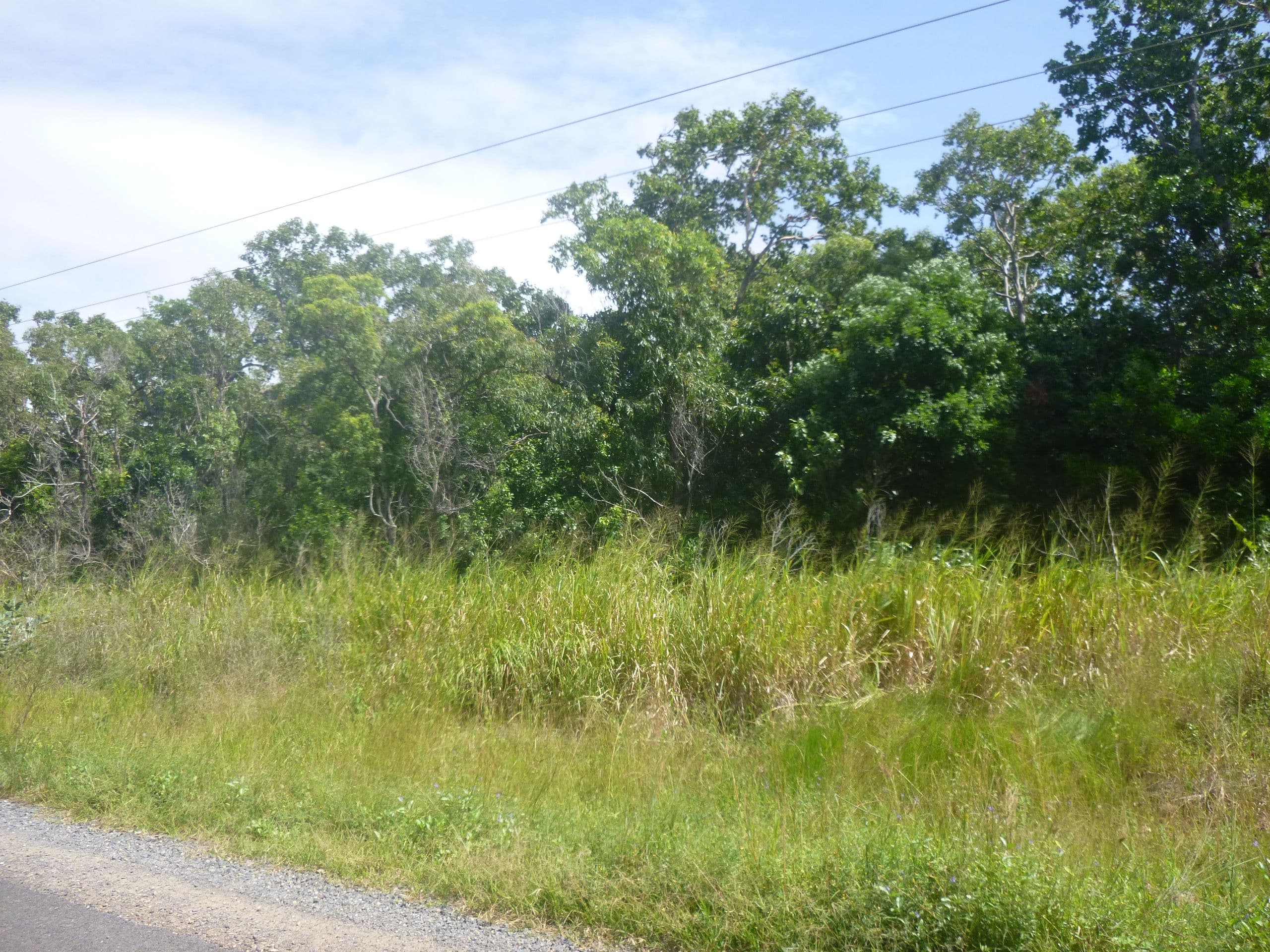 8 Walsh Close, Cooktown QLD 4895, Cooktown - Thumbnail 4