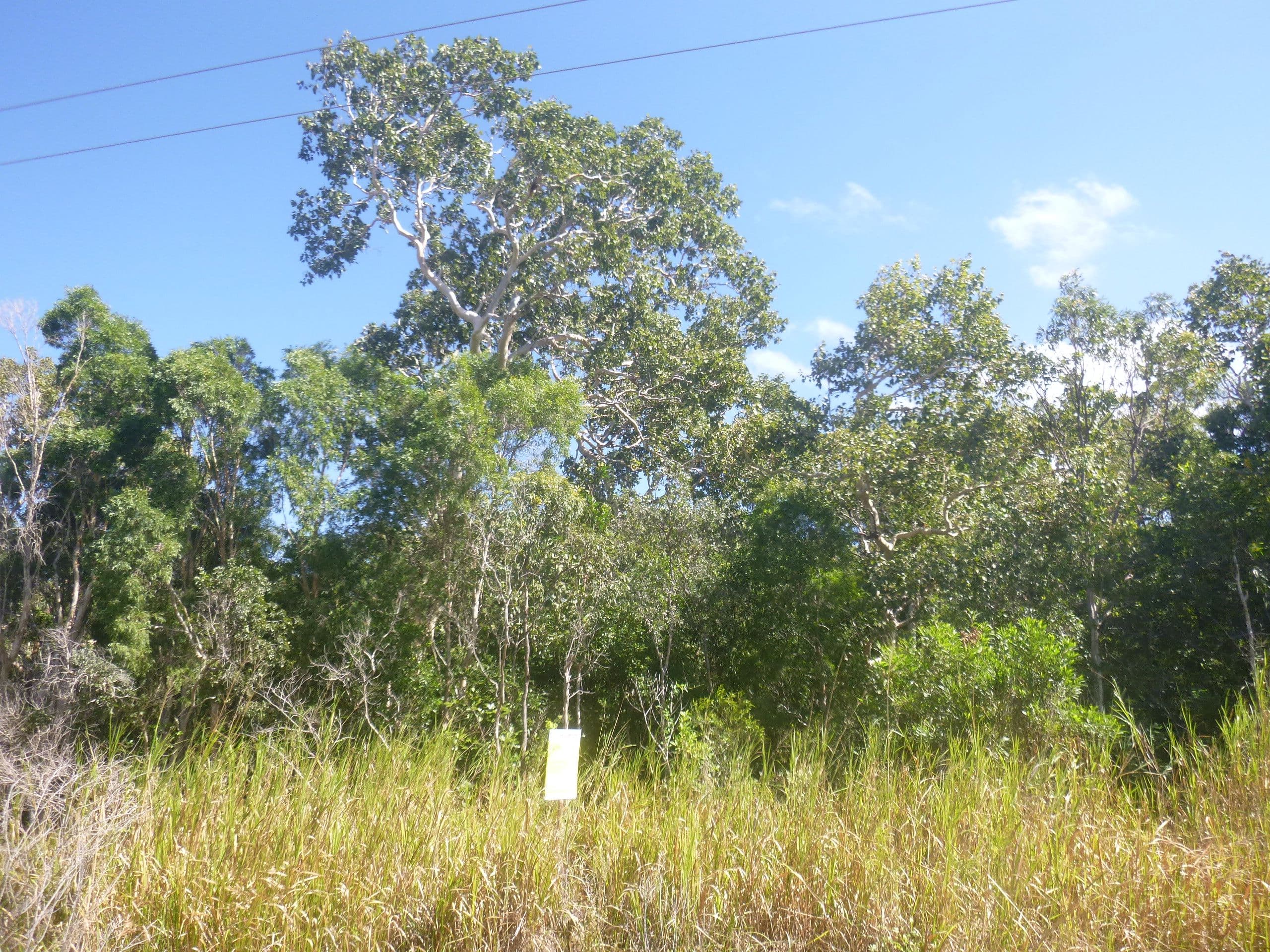 8 Walsh Close, Cooktown QLD 4895, Cooktown - Thumbnail 6