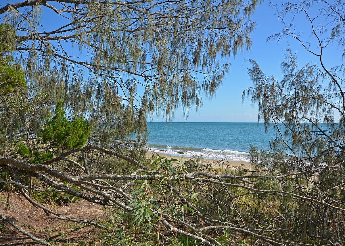 409 O'regan Creek Road, Toogoom QLD 4655, Toogoom - Thumbnail 3