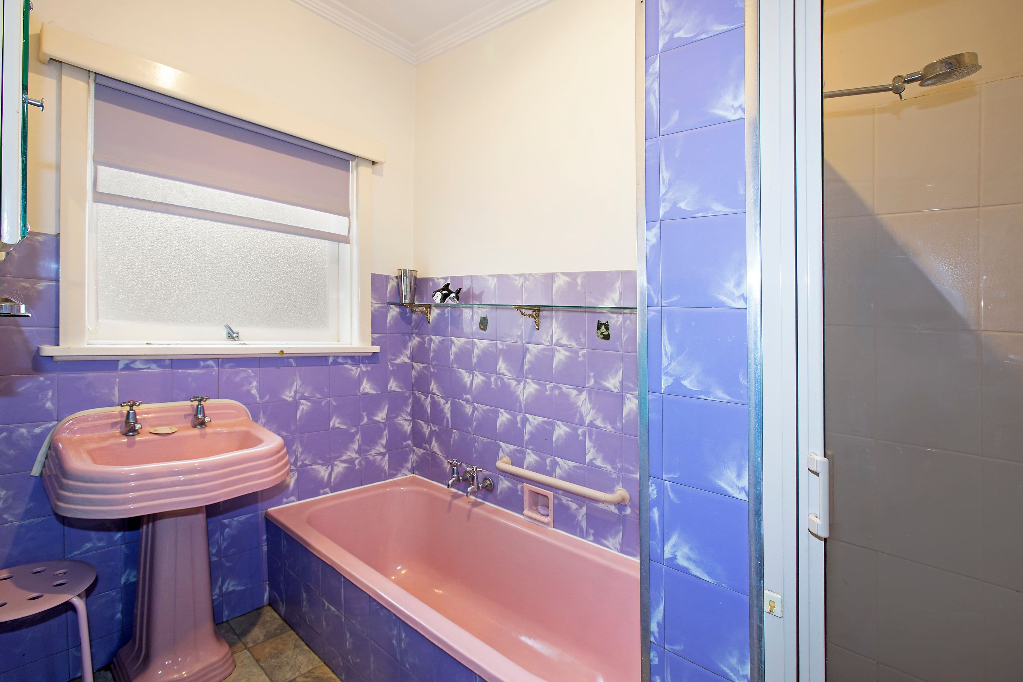 56 Walsgott Street, North Geelong VIC 3215, North Geelong - Thumbnail 8