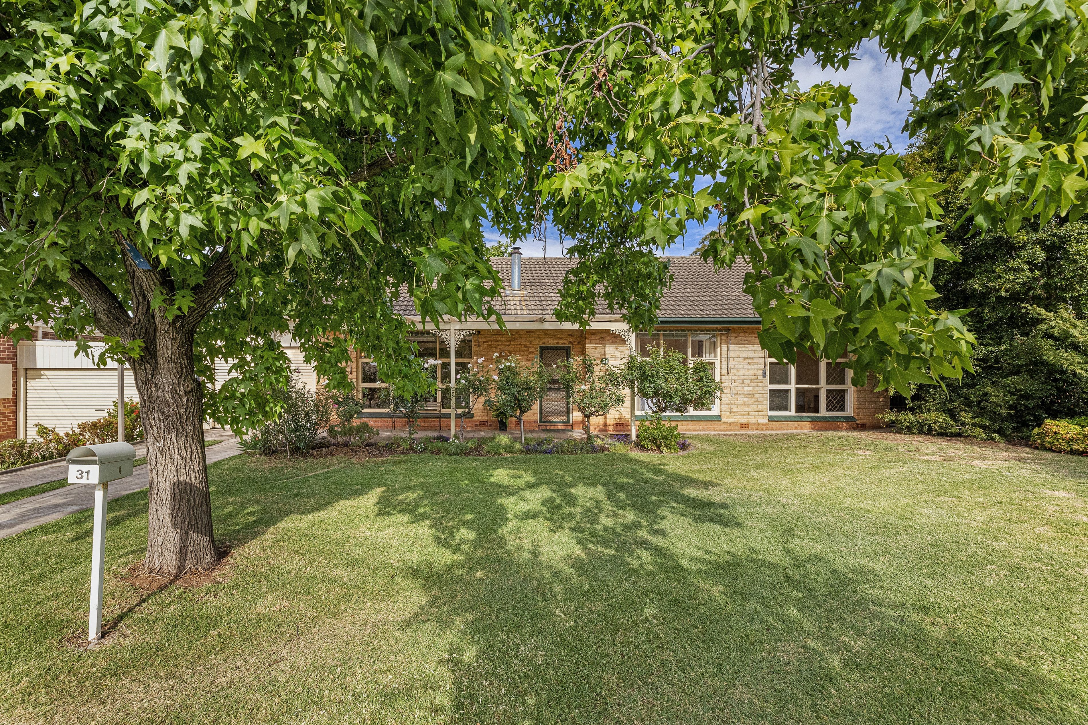 31 Jenkins Avenue, Rostrevor SA 5073, Rostrevor - Thumbnail 3