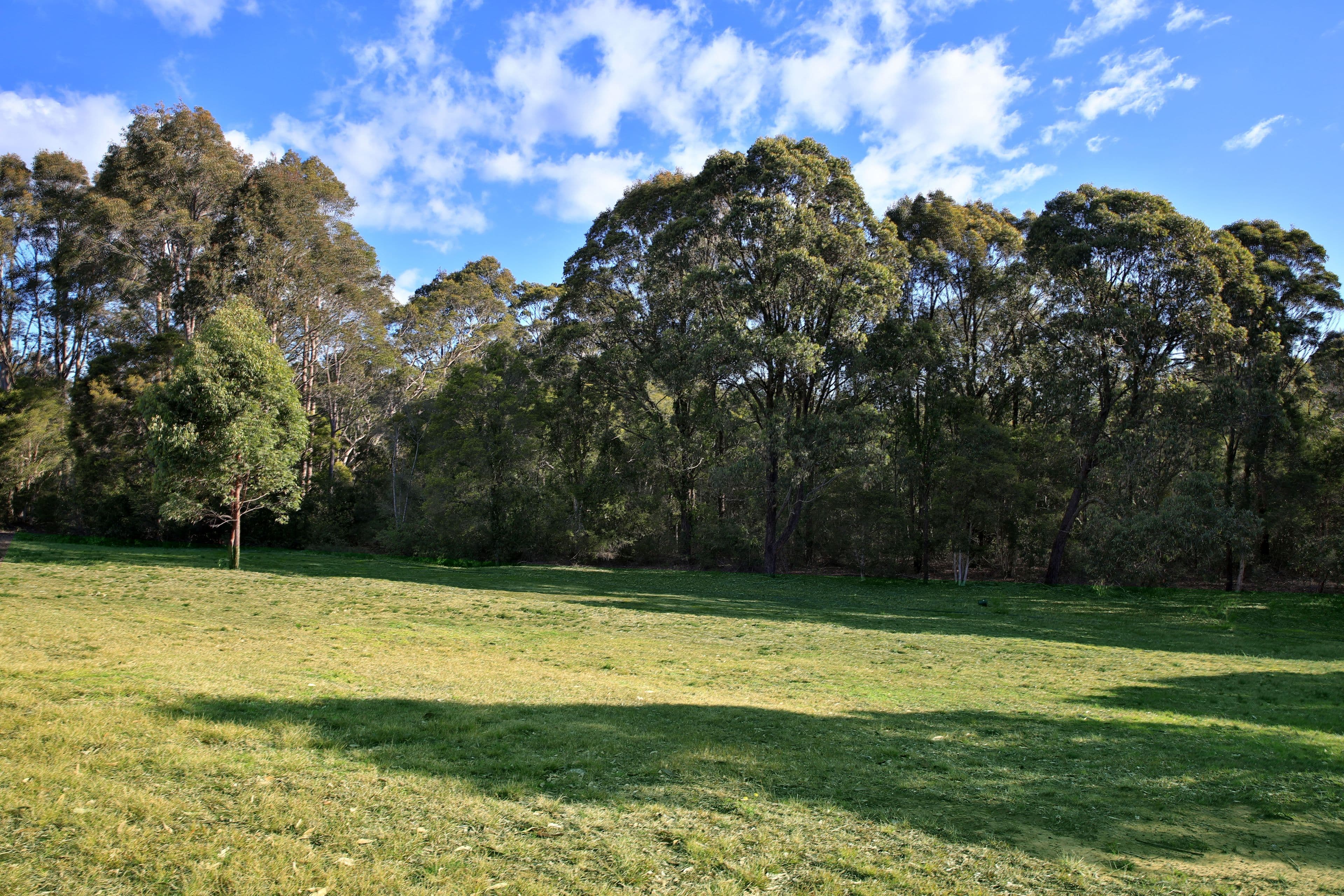 Lot 2, 6 Grey Gum Close, Nowra Hill NSW 2540, Nowra Hill - Image 1