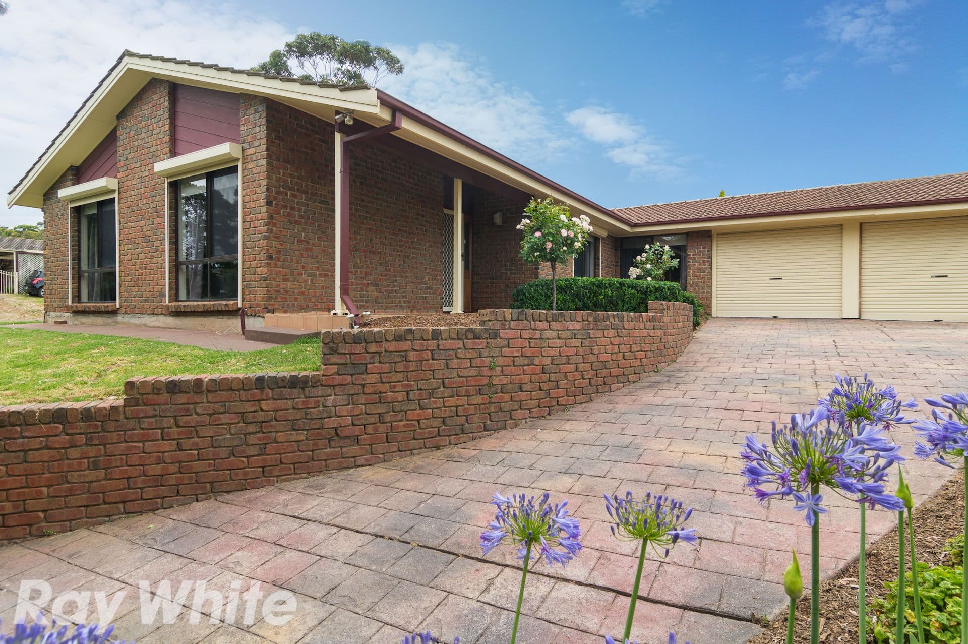 9 McNamara Road, Coromandel Valley SA 5051, Coromandel Valley - Thumbnail 5
