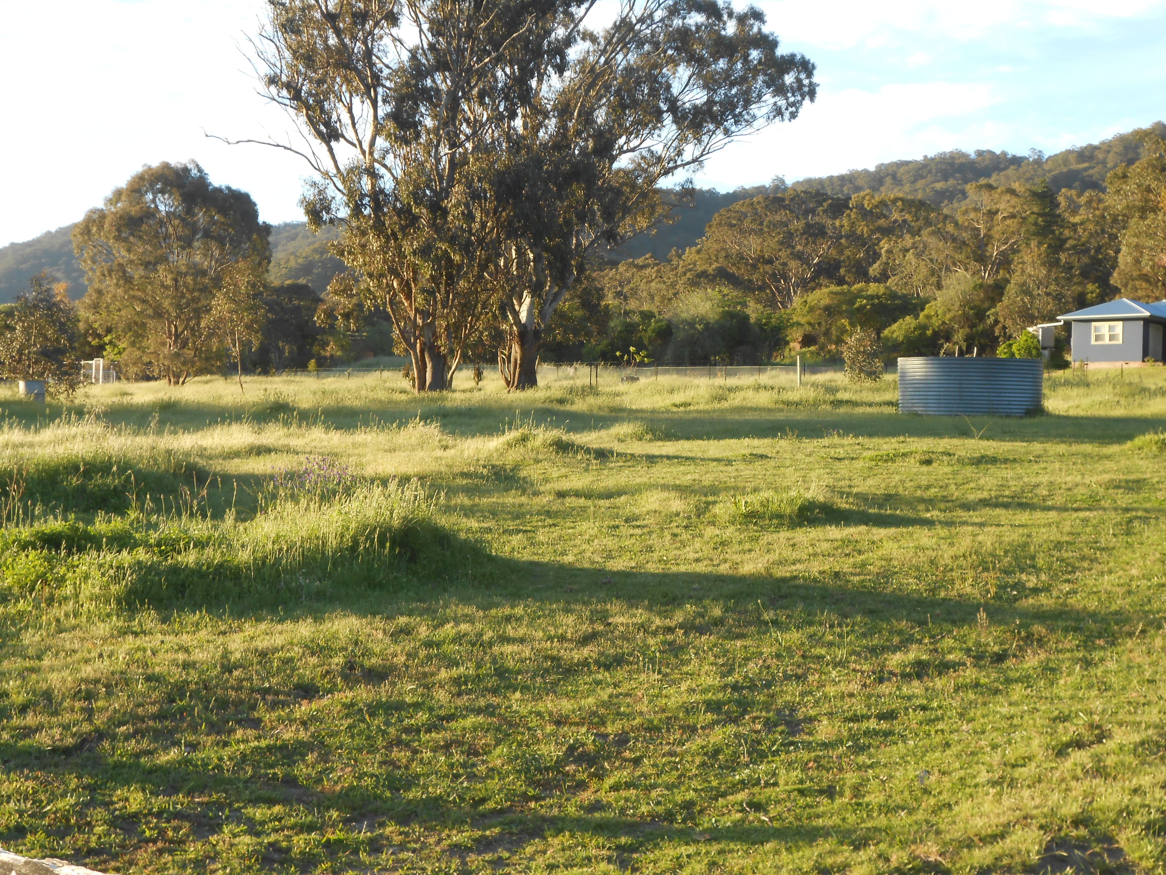 64 Doughboy Street, Murrurundi NSW 2338, Murrurundi - Image 1
