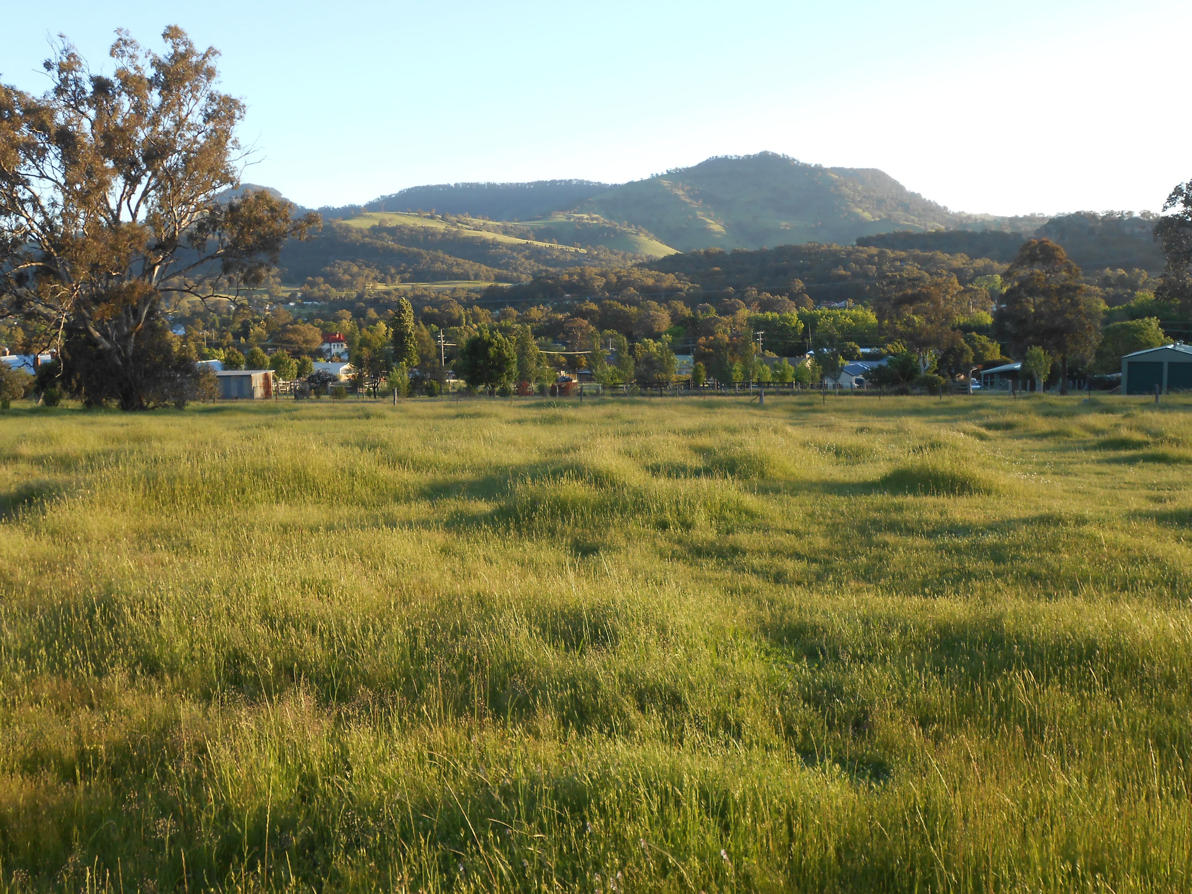 64 Doughboy Street, Murrurundi NSW 2338, Murrurundi - Thumbnail 2