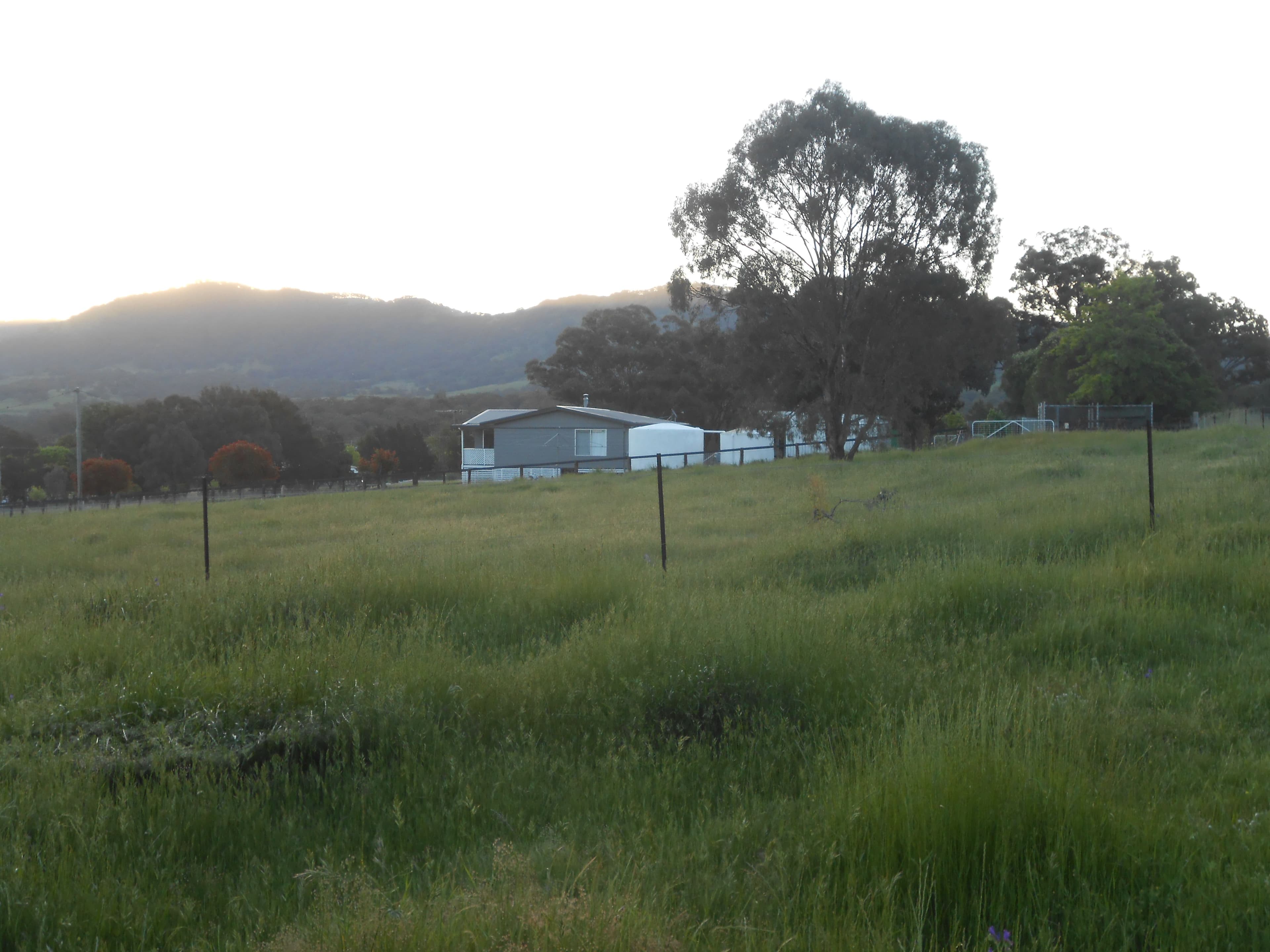 64 Doughboy Street, Murrurundi NSW 2338, Murrurundi - Thumbnail 3