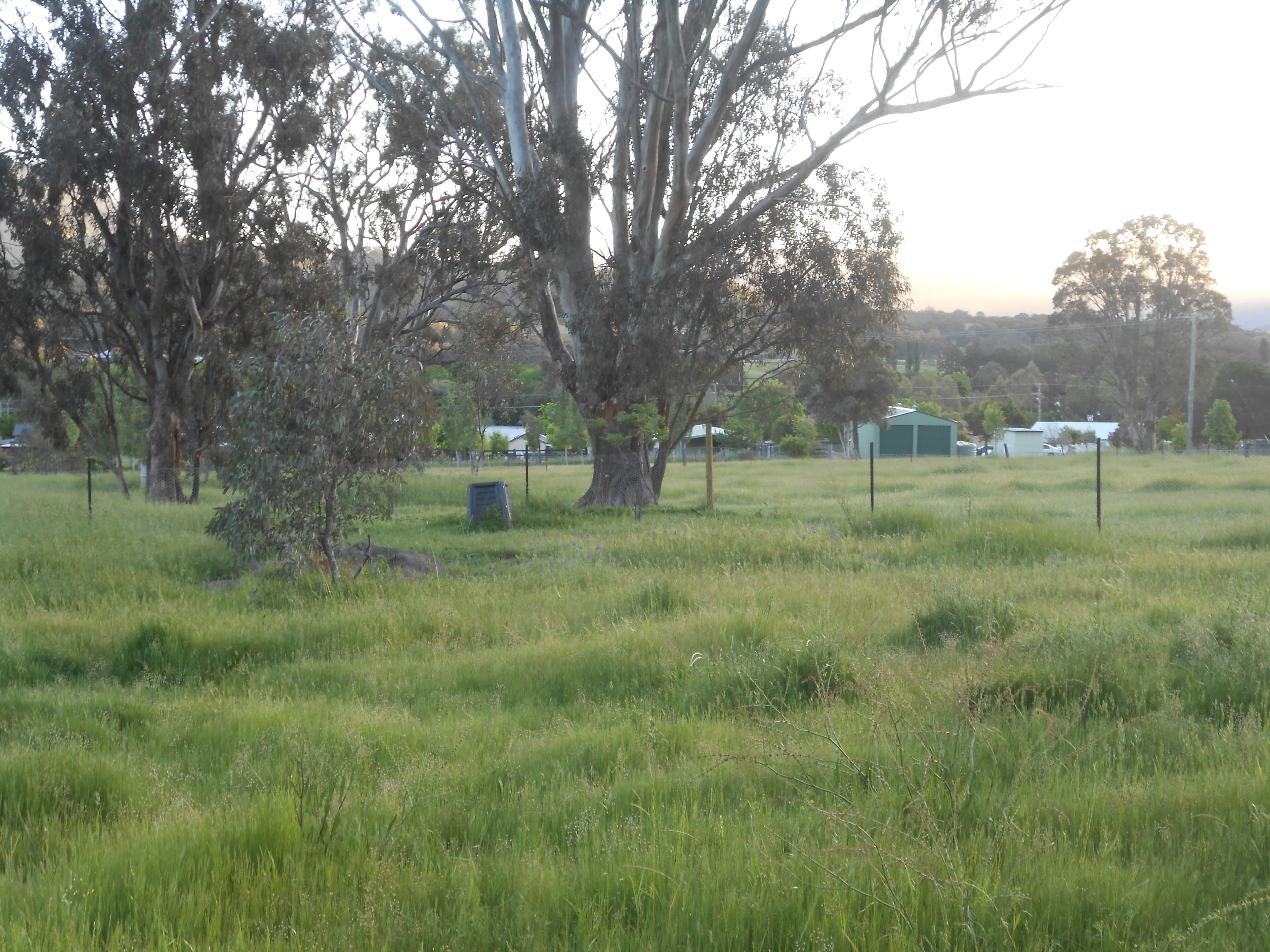 64 Doughboy Street, Murrurundi NSW 2338, Murrurundi - Thumbnail 6