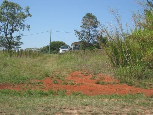 25 Roebuck Road, RUSSELL ISLAND QLD 4184, Russell Island - Image 1