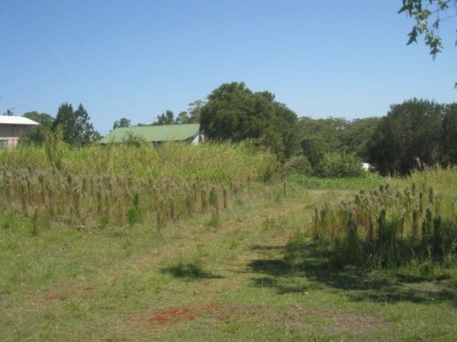 25 Roebuck Road, RUSSELL ISLAND QLD 4184, Russell Island - Thumbnail 2