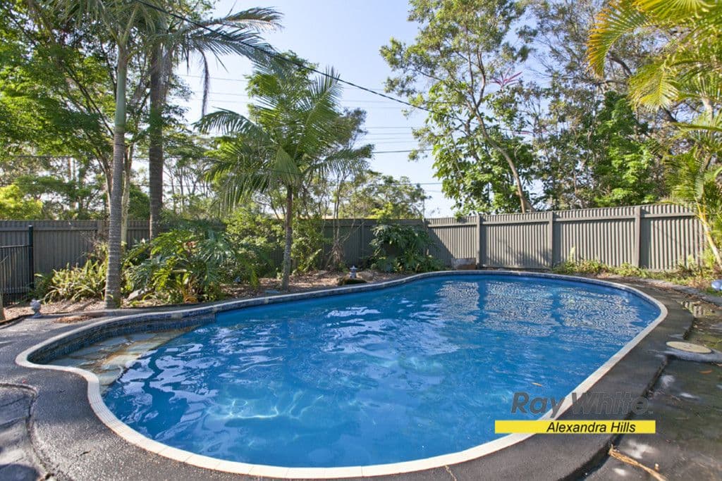 49 Allenby Road, ALEXANDRA HILLS QLD 4161, Alexandra Hills - Thumbnail 5
