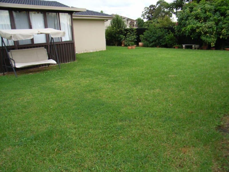78  Tuncurry Street, BOSSLEY PARK NSW 2176, Bossley Park - Thumbnail 8