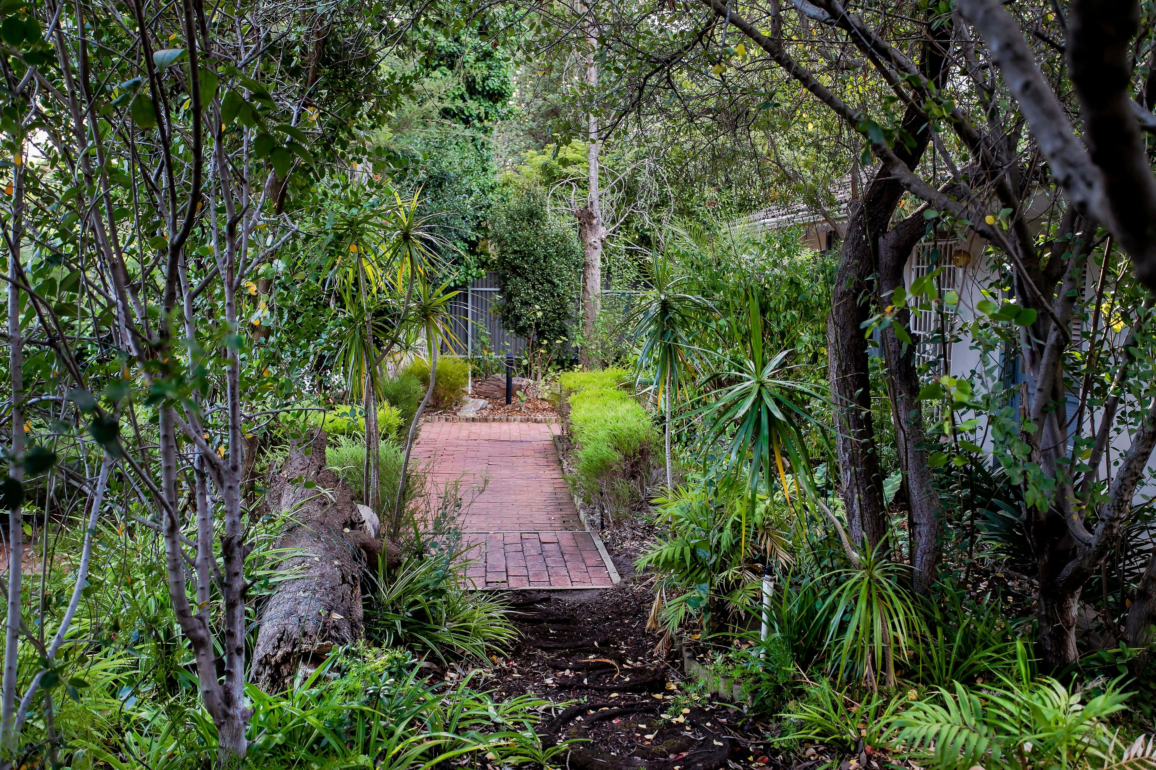 49 Statenborough Street, Leabrook SA 5068, Leabrook - Thumbnail 4