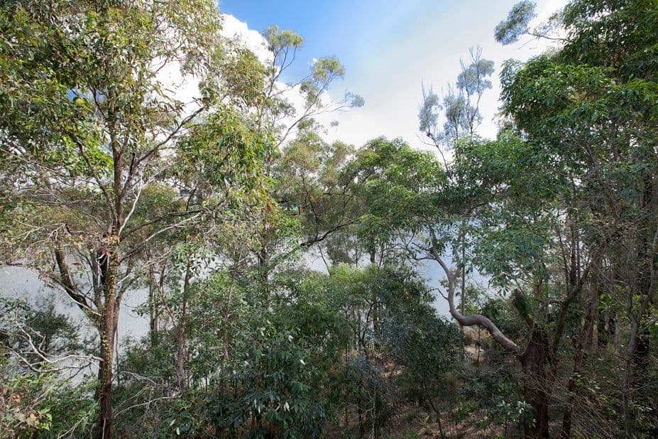 9 Rosecliffe Street, Highgate Hill QLD 4101, Highgate Hill - Thumbnail 3
