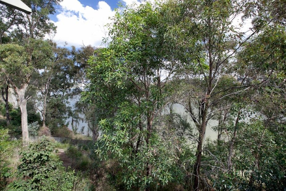 9 Rosecliffe Street, Highgate Hill QLD 4101, Highgate Hill - Thumbnail 4