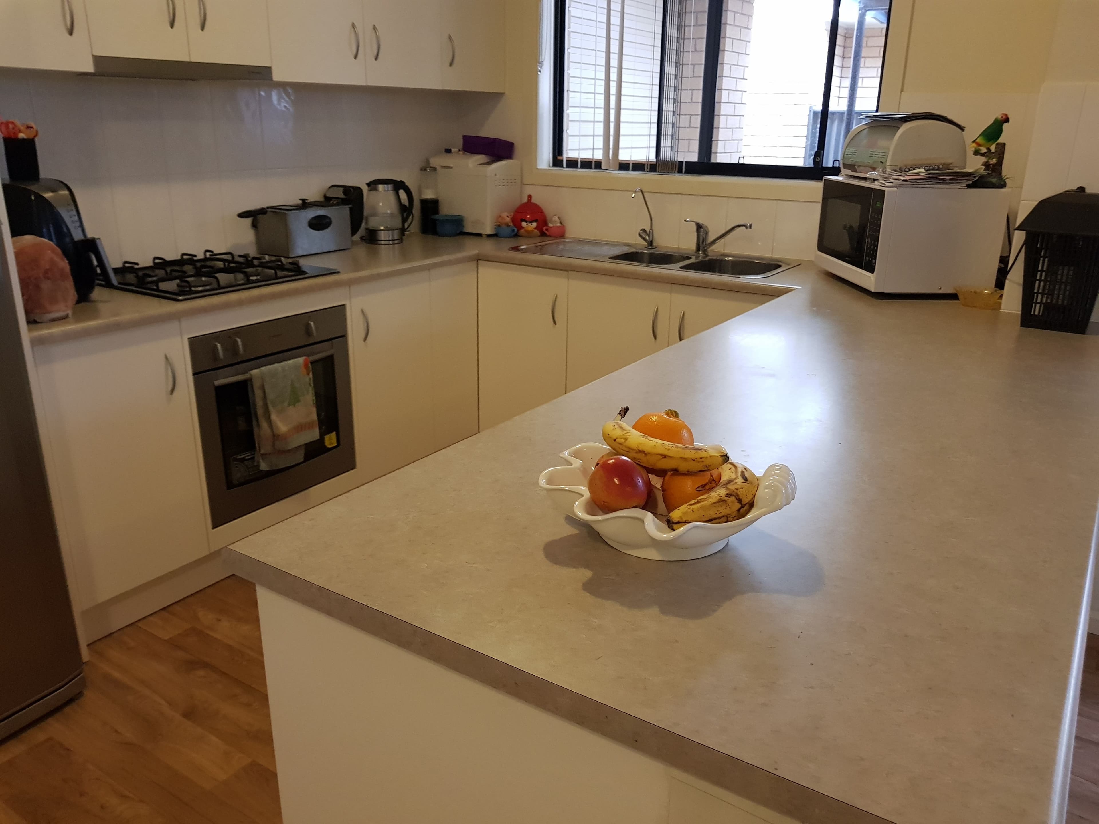 7 Hawick Avenue, Blakeview SA 5114, Blakeview - Thumbnail 5