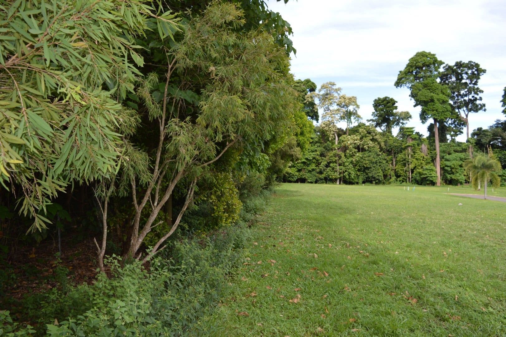 Lot 57 Seagull Close, Mission Beach QLD 4852, Mission Beach - Thumbnail 2