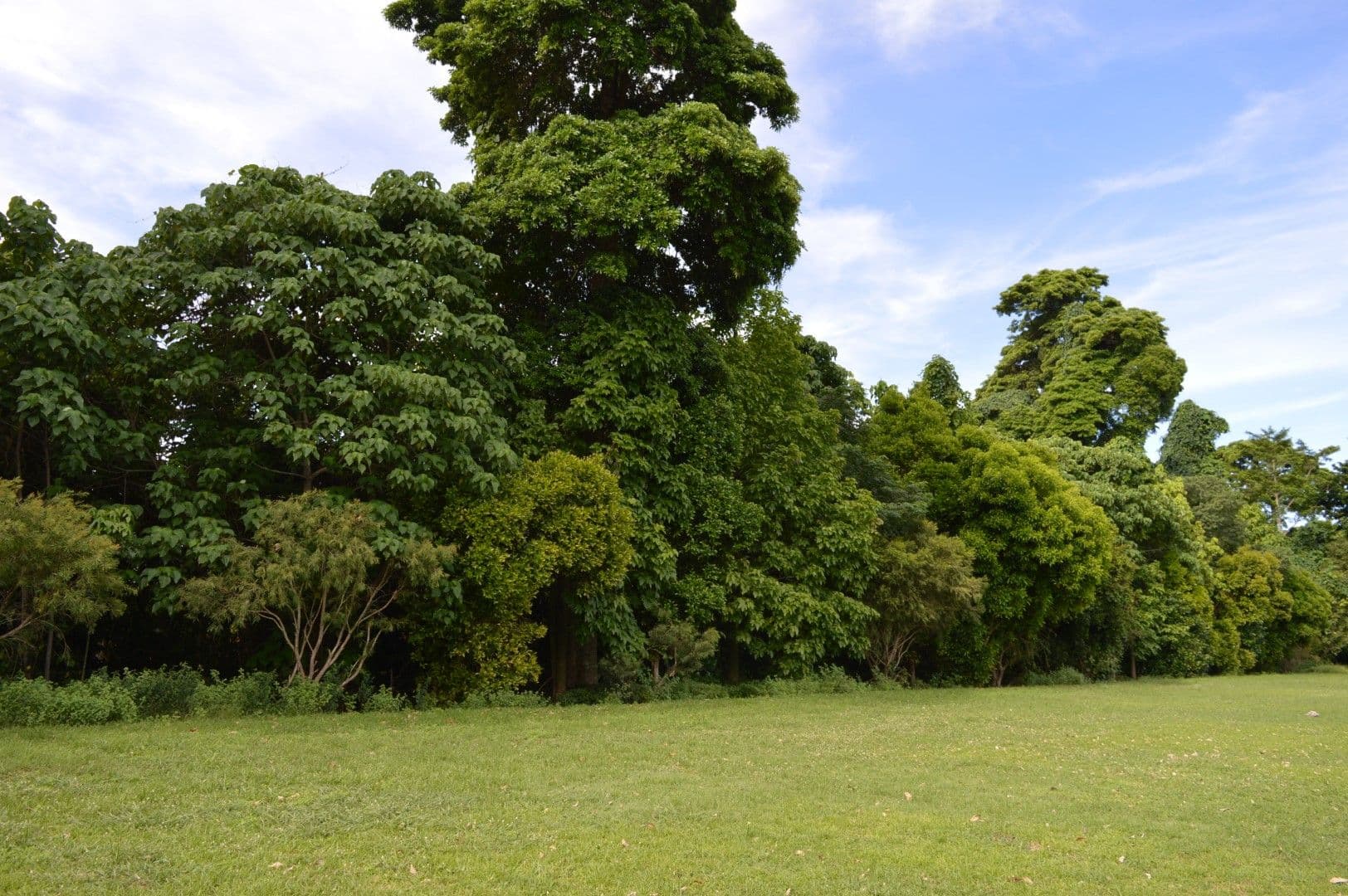 Lot 57 Seagull Close, Mission Beach QLD 4852, Mission Beach - Thumbnail 8