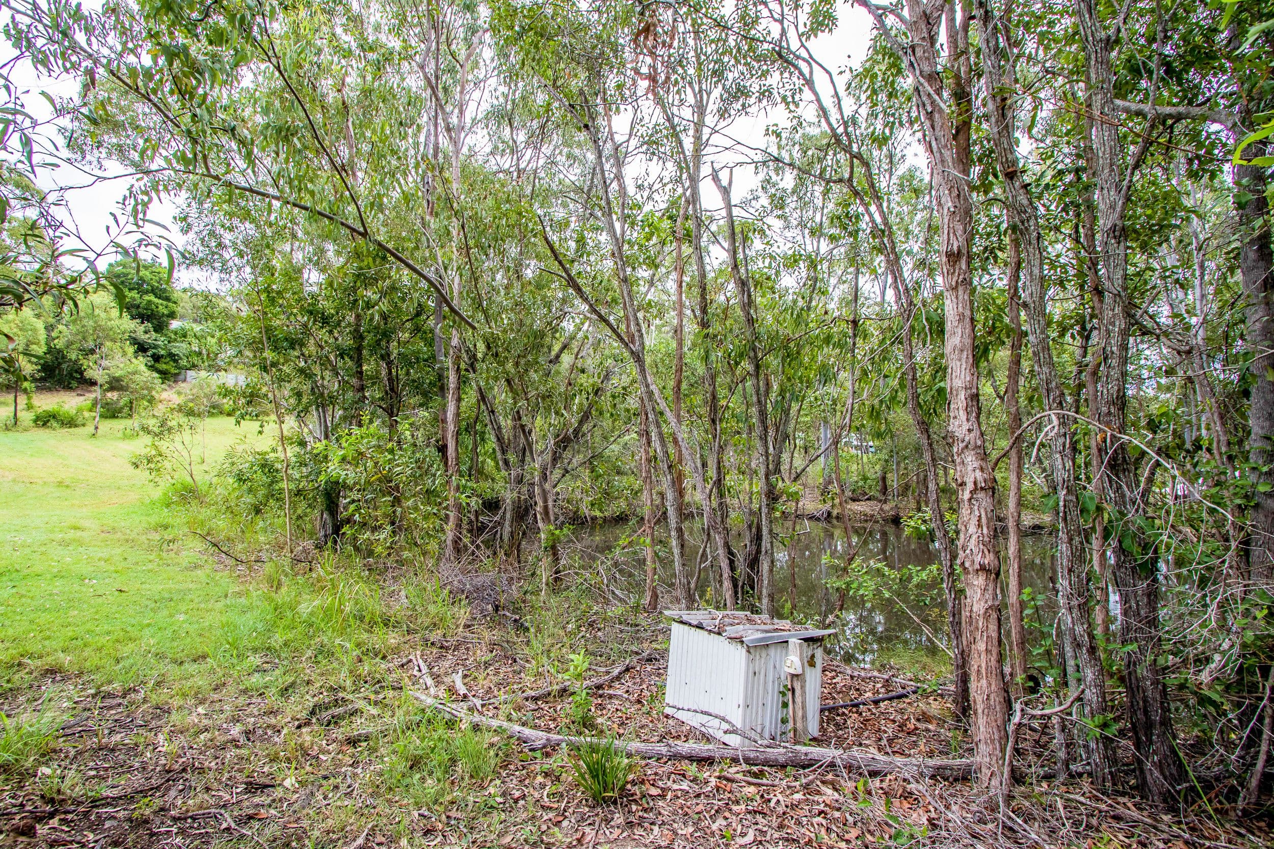 29 Fitzroy Crescent, Agnes Water QLD 4677, Agnes Water - Thumbnail 6