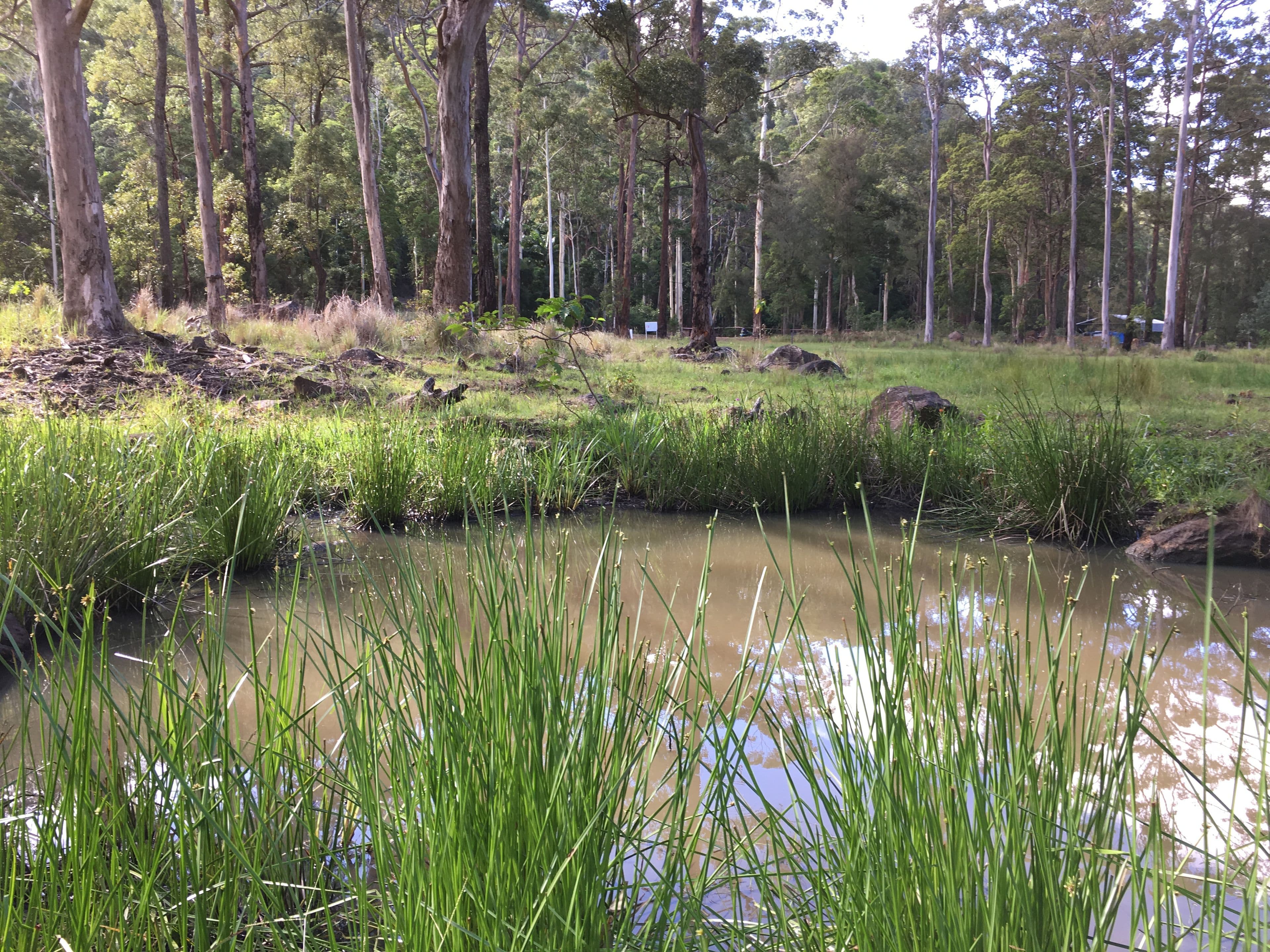 905K Main Western Road, Tamborine Mountain QLD 4272, Tamborine Mountain - Image 1