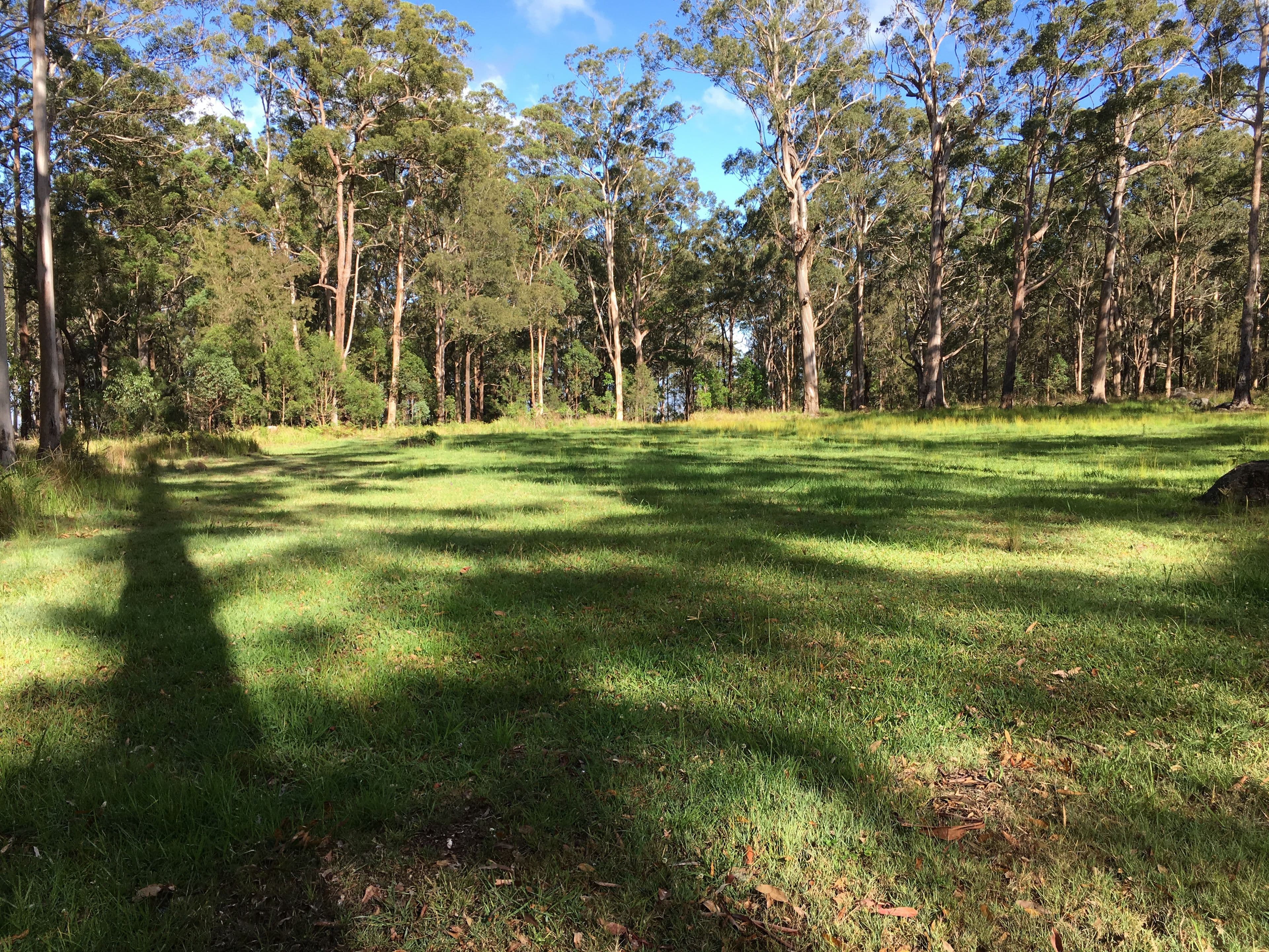 905K Main Western Road, Tamborine Mountain QLD 4272, Tamborine Mountain - Thumbnail 2