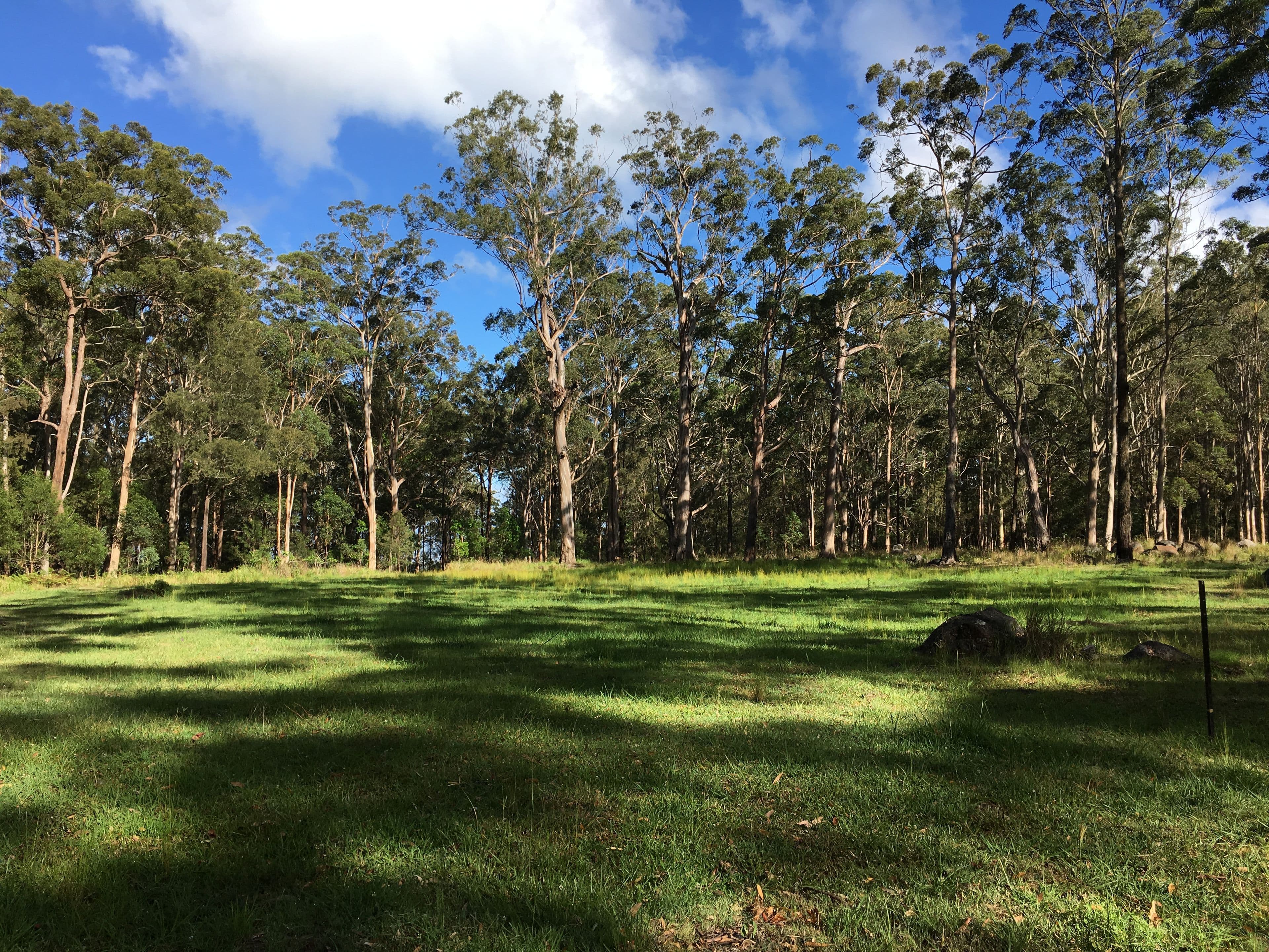 905K Main Western Road, Tamborine Mountain QLD 4272, Tamborine Mountain - Thumbnail 3