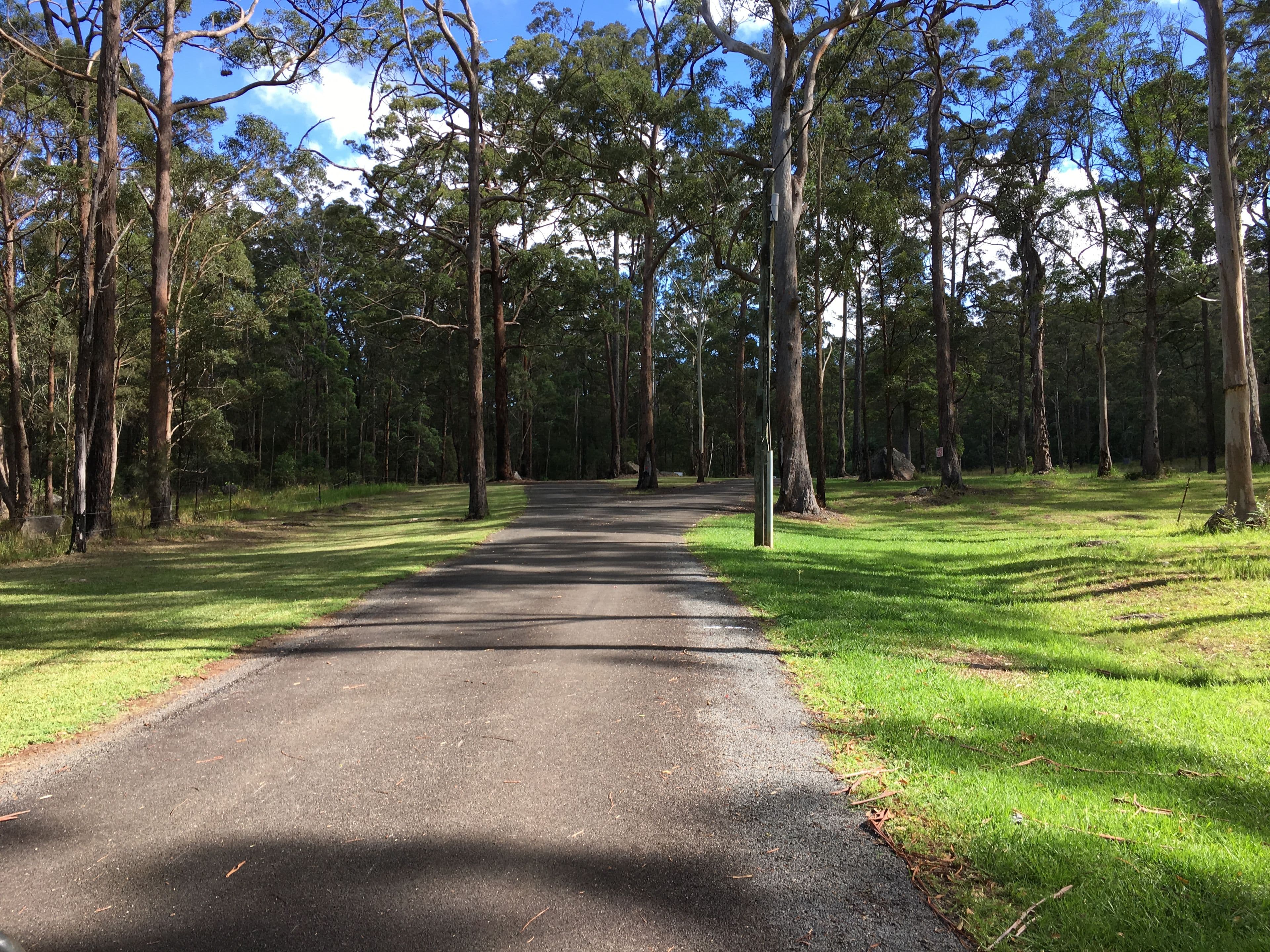 905K Main Western Road, Tamborine Mountain QLD 4272, Tamborine Mountain - Thumbnail 7