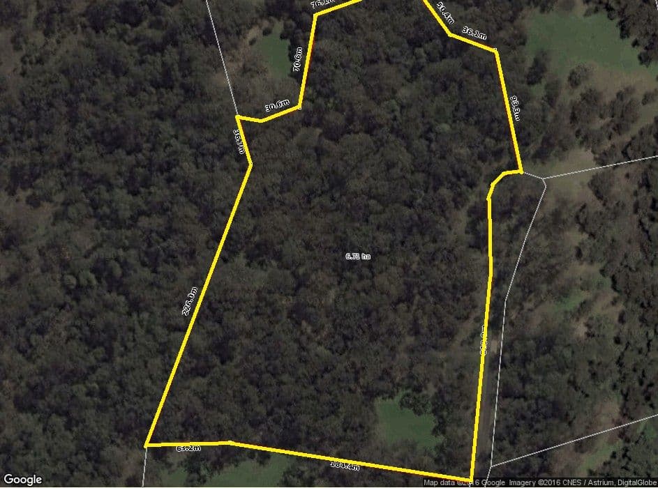 905K Main Western Road, Tamborine Mountain QLD 4272, Tamborine Mountain - Thumbnail 8