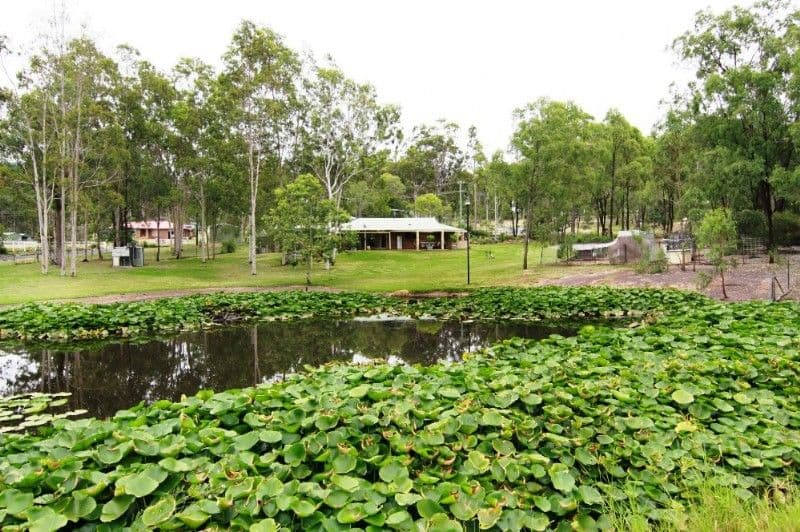 74 Wandin Road, WITHCOTT QLD 4352, Withcott - Thumbnail 8