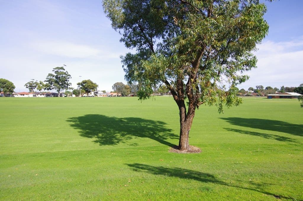 2A Currong Way, NOLLAMARA WA 6061, Nollamara - Thumbnail 2
