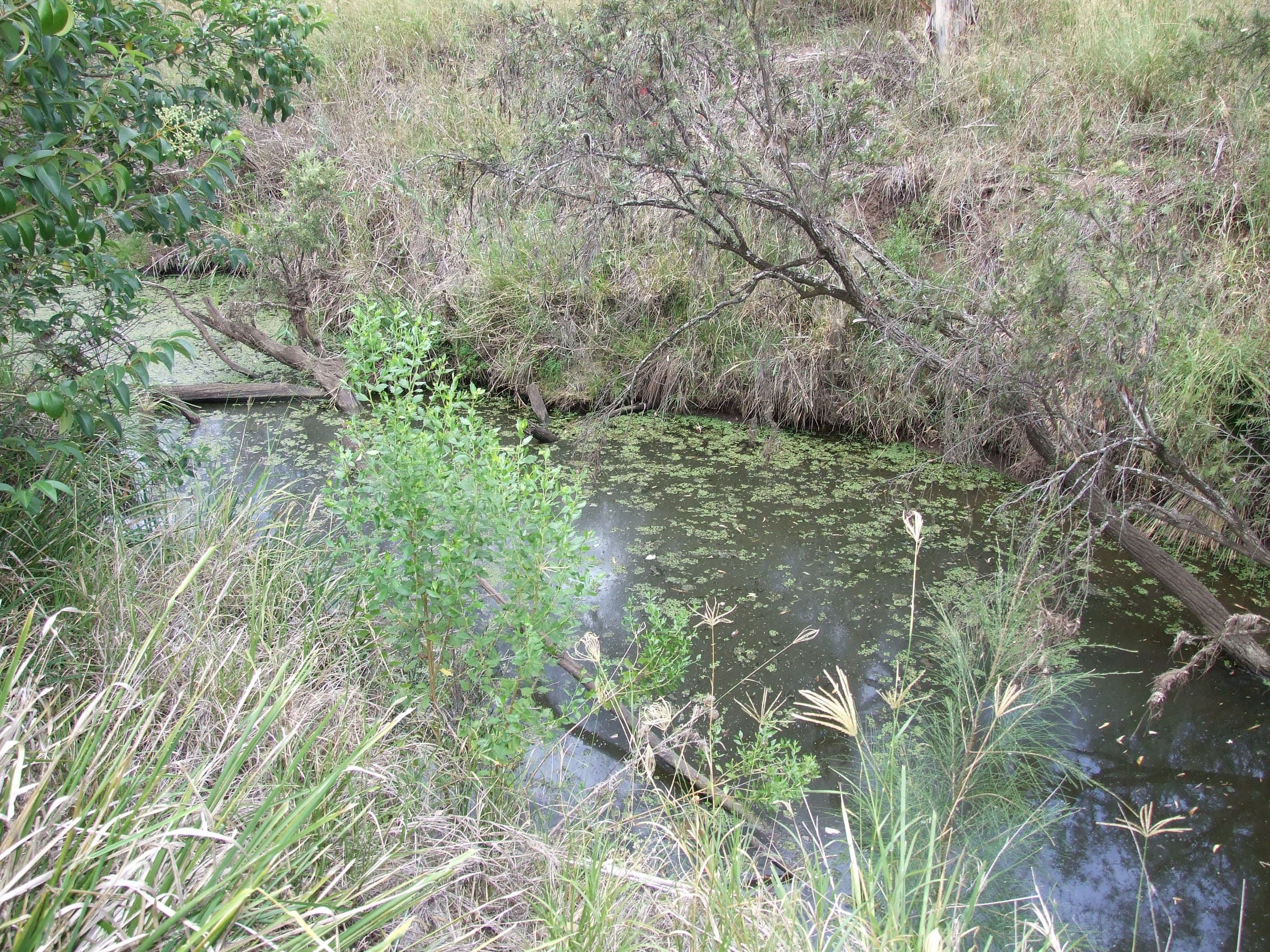 L23 McConnell Road, Maidenwell QLD 4615, Maidenwell - Thumbnail 3