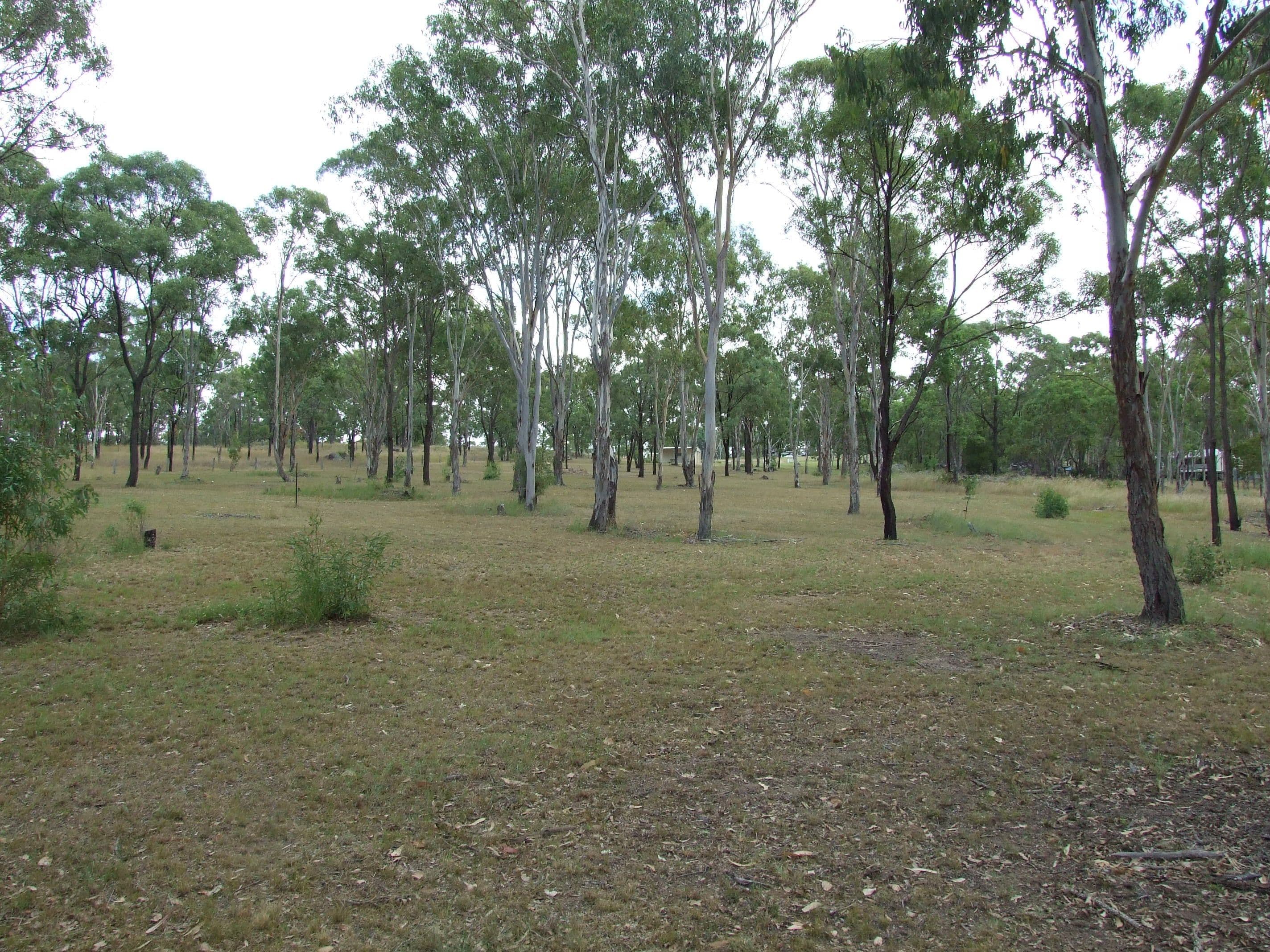 L23 McConnell Road, Maidenwell QLD 4615, Maidenwell - Thumbnail 4