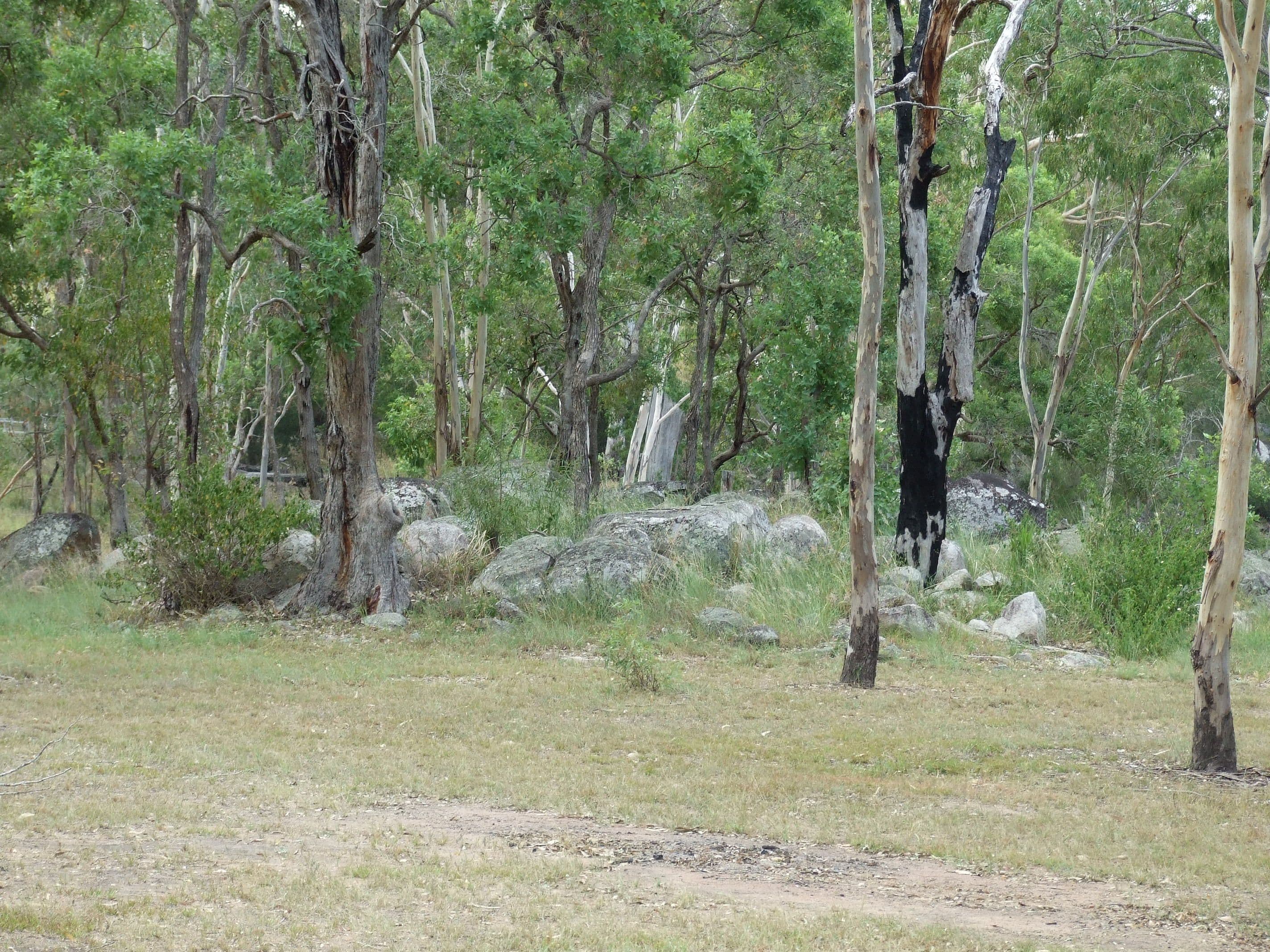 L23 McConnell Road, Maidenwell QLD 4615, Maidenwell - Thumbnail 6