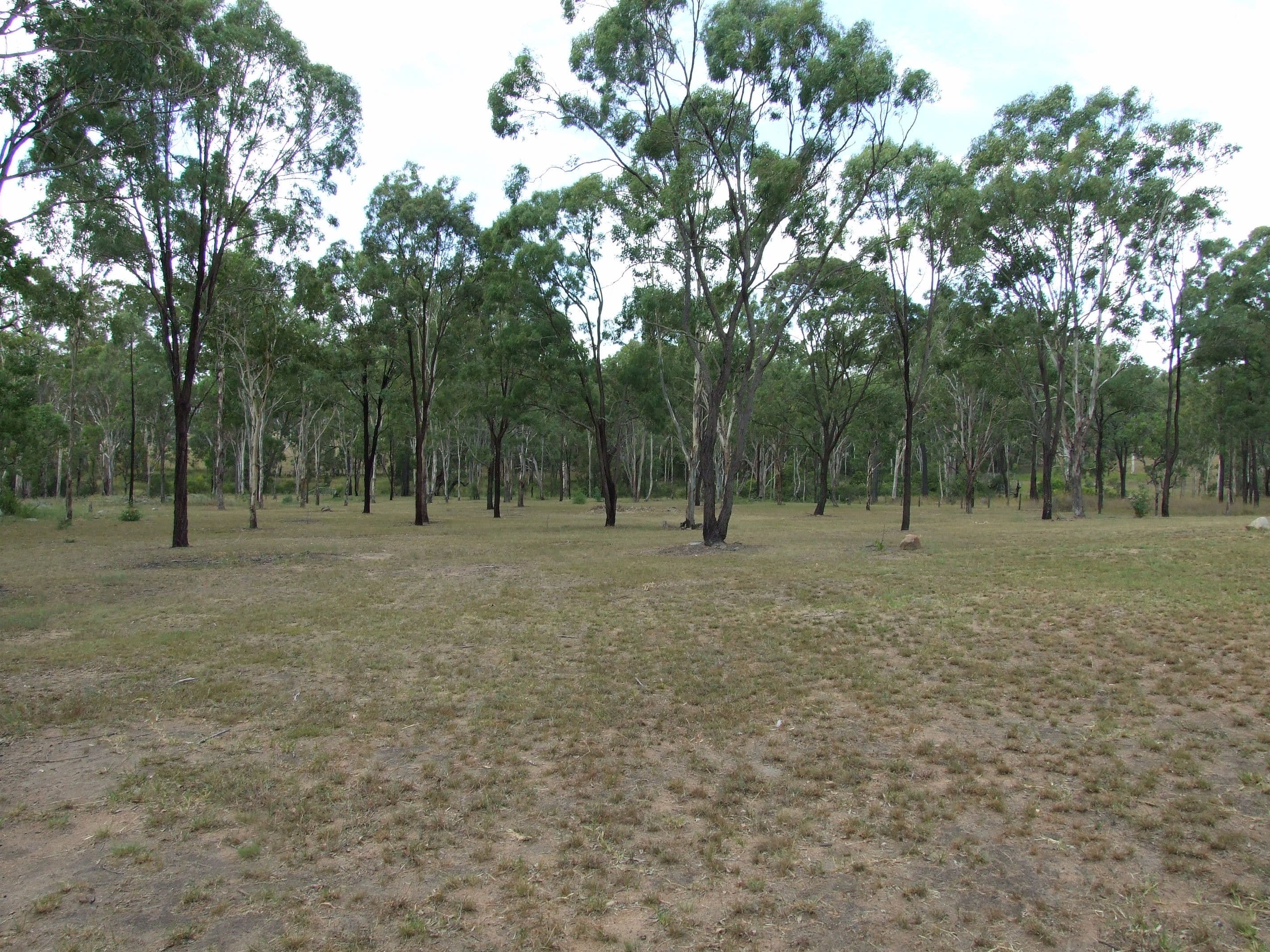 L23 McConnell Road, Maidenwell QLD 4615, Maidenwell - Thumbnail 7