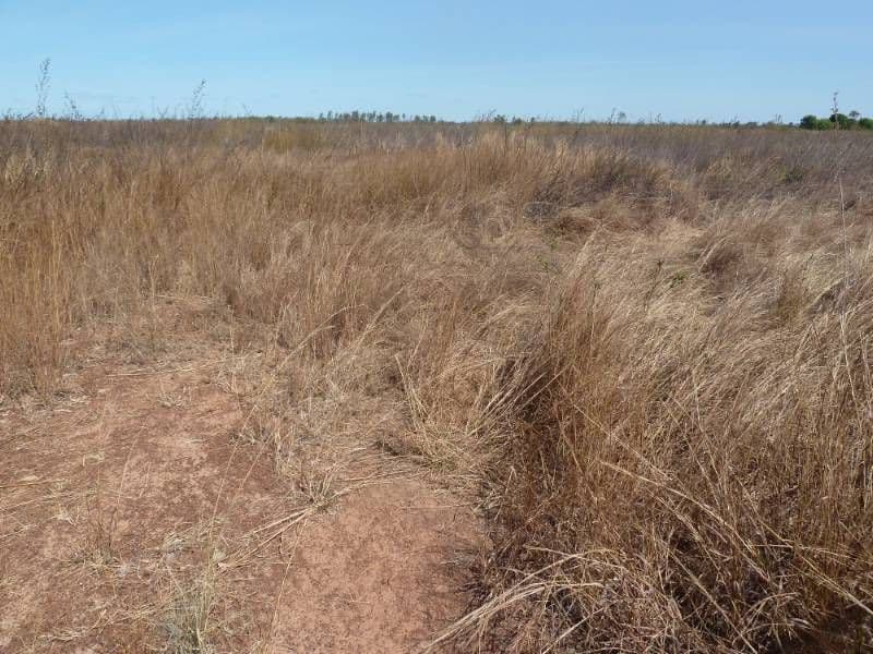 545 Napier Road, KATHERINE NT 0850, Katherine - Thumbnail 2