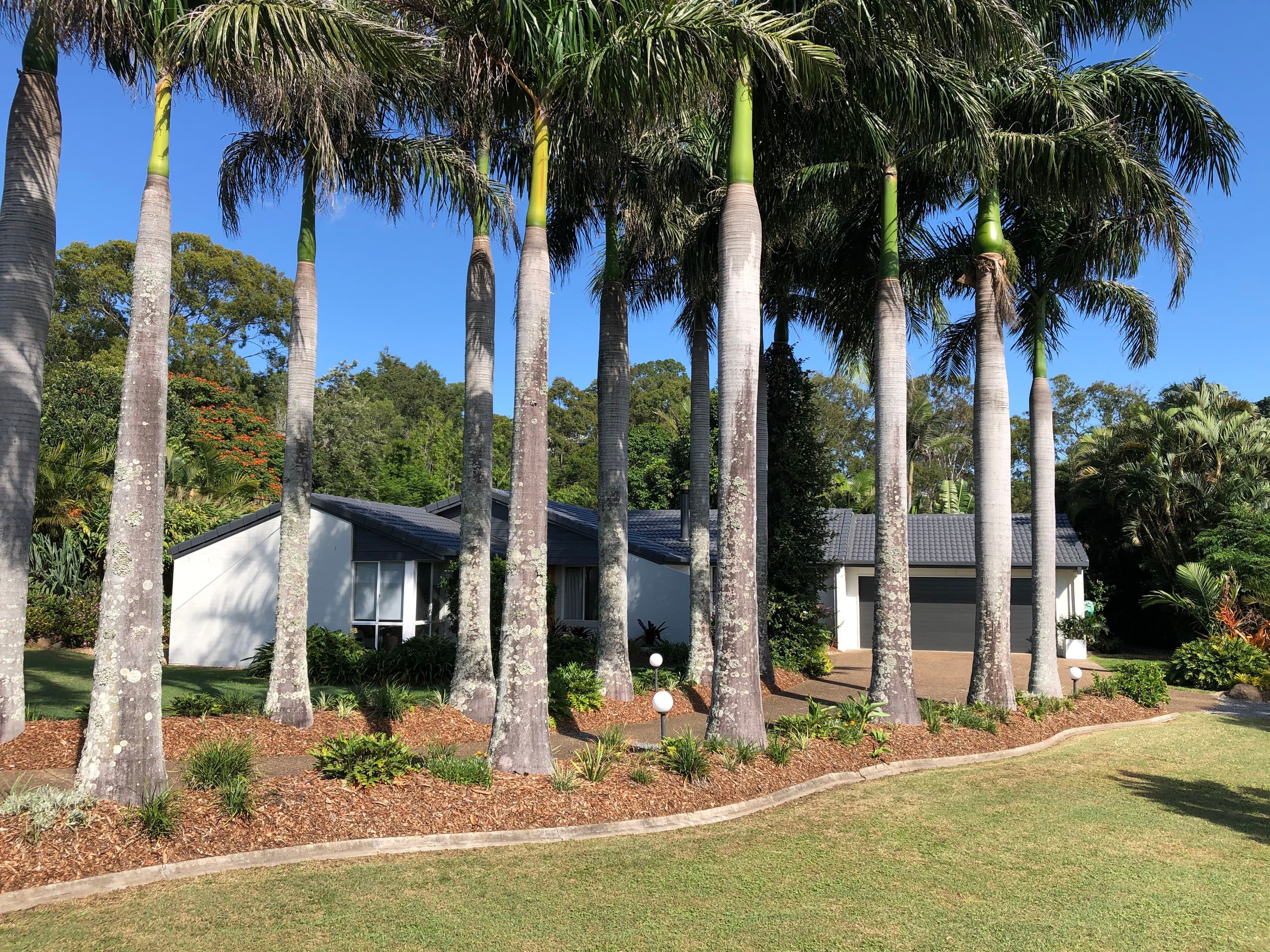 21-23 McIvor Court, Ormeau QLD 4208, Ormeau - Thumbnail 2