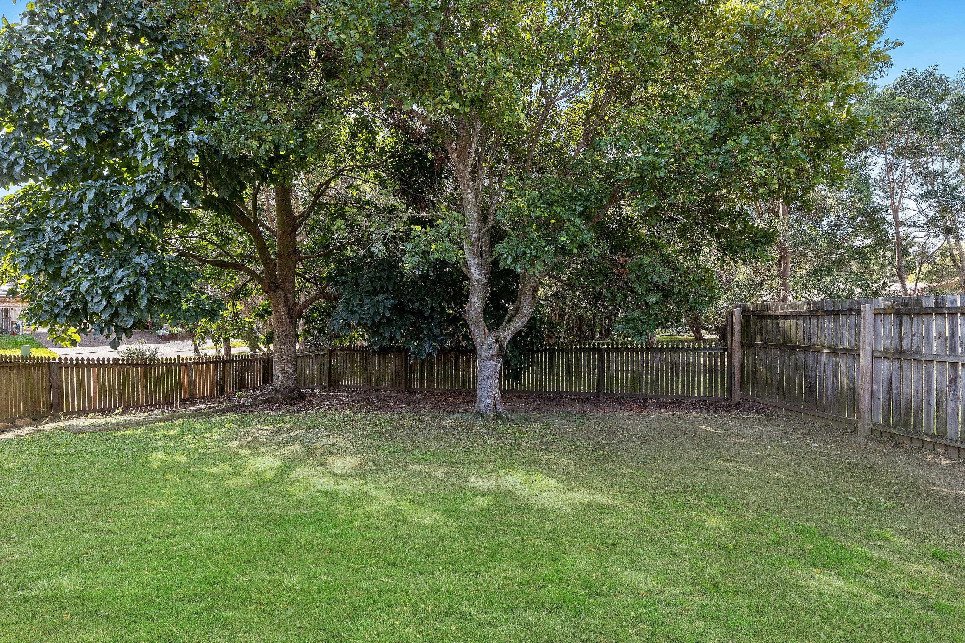 31 Currawong Drive, Birkdale QLD 4159, Birkdale - Thumbnail 3