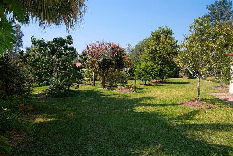 28 Koala Court, LITTLE MOUNTAIN QLD 4551, Little Mountain - Thumbnail 5