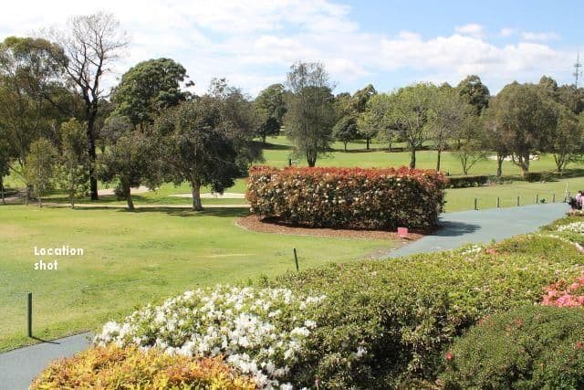 2 Dempsey Street, NORTH RYDE NSW 2113, North Ryde - Thumbnail 4